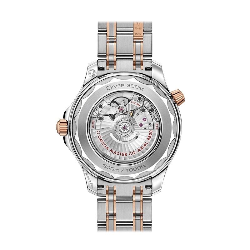 OMEGA Seamaster Diver 300M Co-Axial Master Chronometer 42 MM 210.20.42.20.01.001