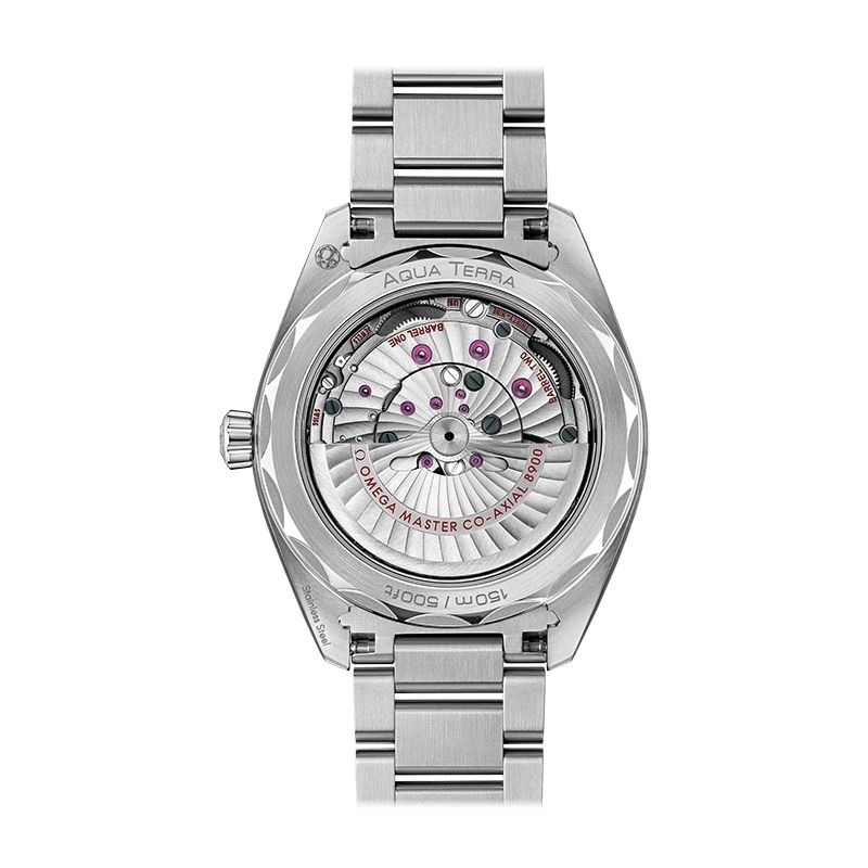 OMEGA Seamaster Aqua Terra 150M Co-Axial Master Chronometer 41 MM 220.10.41.21.10.001