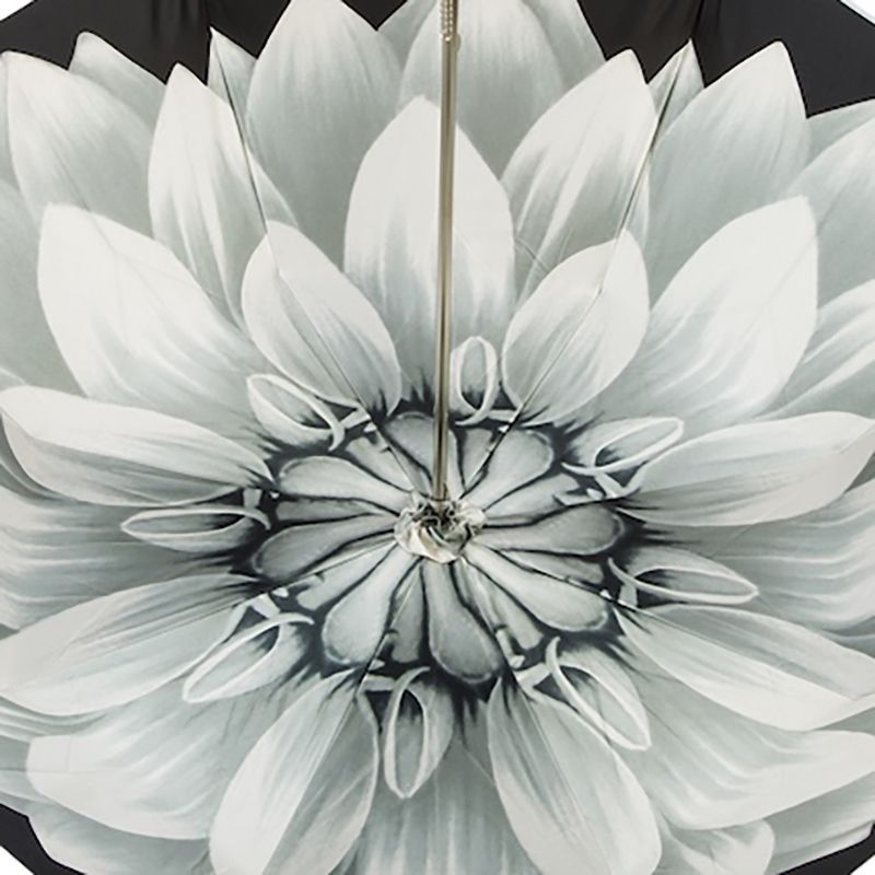 PASOTTI Ombrello Da Donna Flower Sfumato Grigio Interno Dalia Grigia  189N*21284-7*21273-11*S11