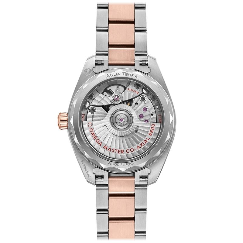 OMEGA Seamaster Aqua Terra 150M Co-Axial Master Chronometer 34 MM 220.25.34.20.60.001