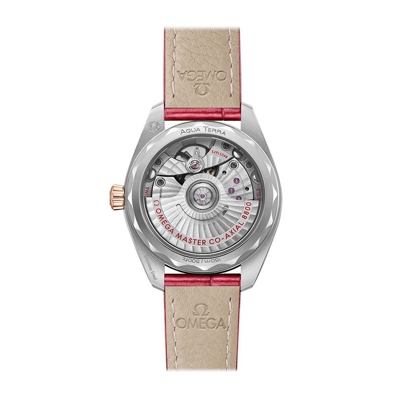 OMEGA Seamaster Aqua Terra 150M Co-Axial Master Chronometer 34 MM 220.23.34.20.60.001
