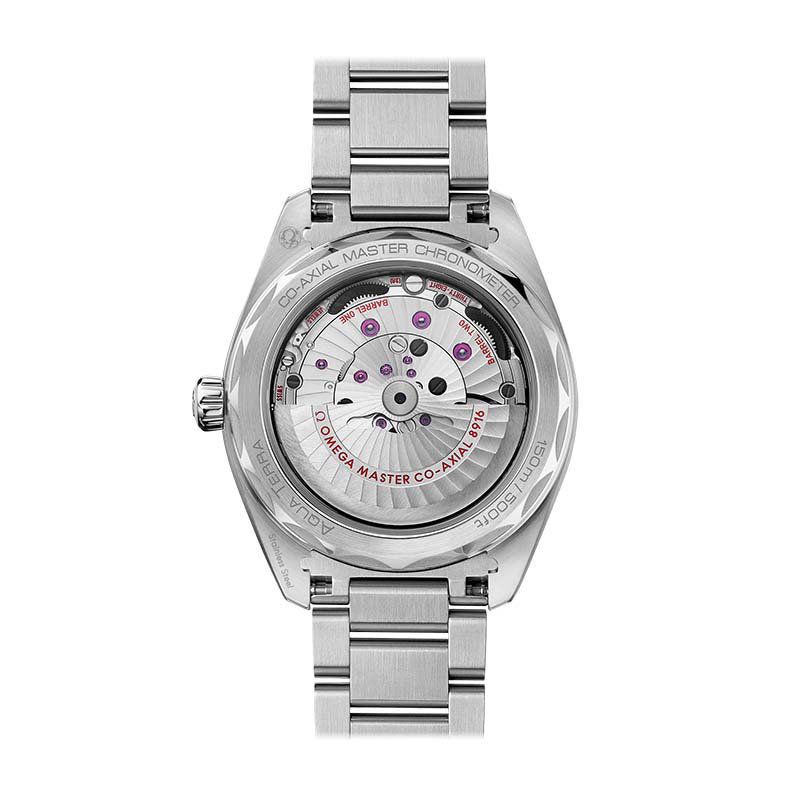 OMEGA Seamaster Aqua Terra 150M Co-Axial Master Chronometer 41 MM 220.10.41.21.02.004