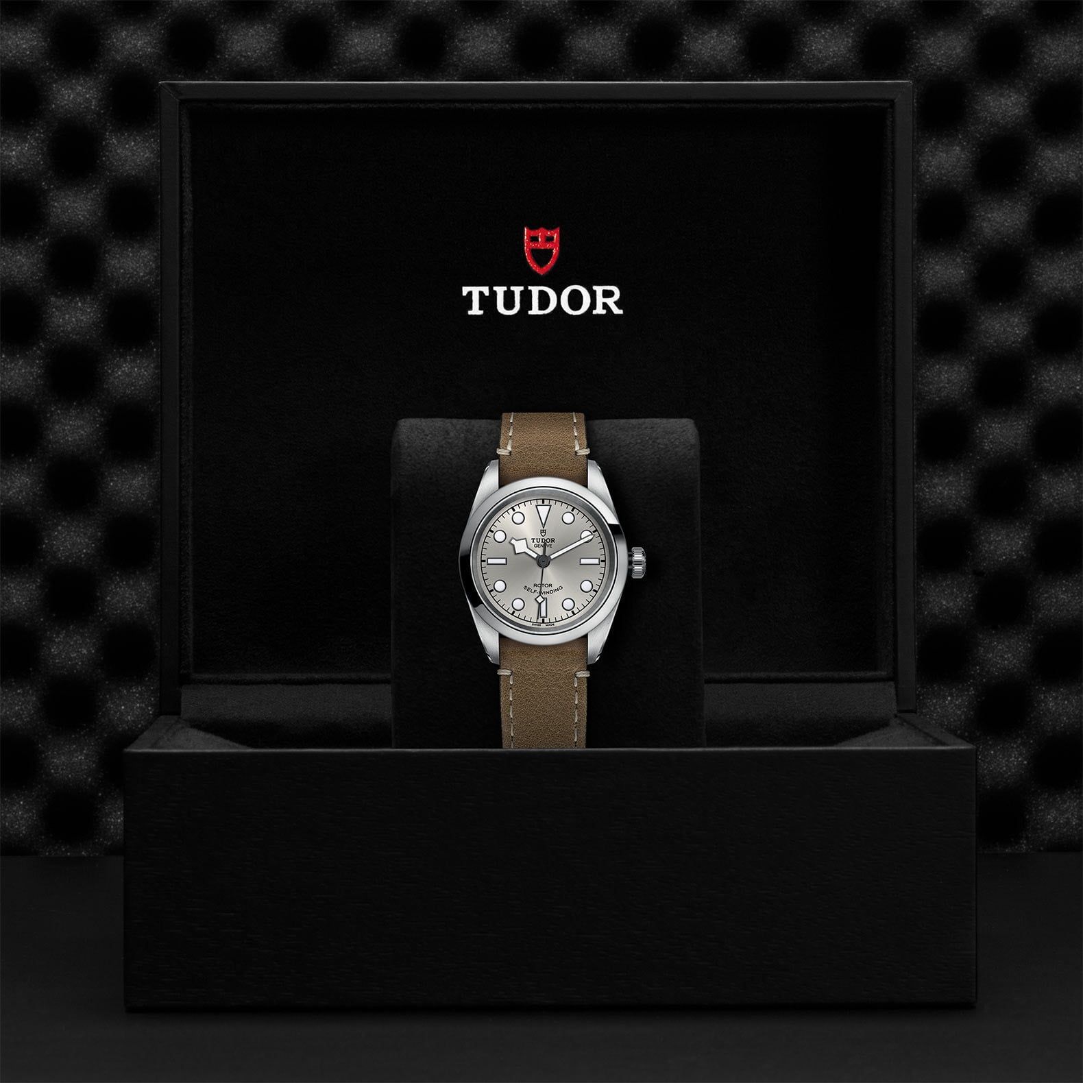 TUDOR Black Bay 32 32 MM M79580-0009