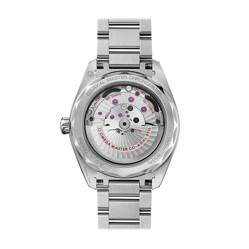 OMEGA Seamaster Aqua Terra 150M Omega Co-Axial Master Chronometer 41 MM 220.10.41.21.02.002