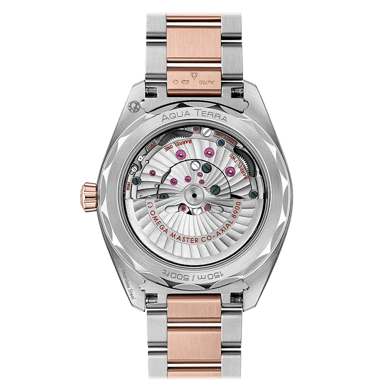 OMEGA Seamaster Aqua Terra 150M Co-Axial Master Chronometer 41 MM 220.20.41.21.02.001