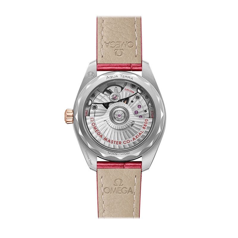 OMEGA Seamaster Aqua Terra 150M Co-Axial Master Chronometer 34 MM 220.28.34.20.60.001