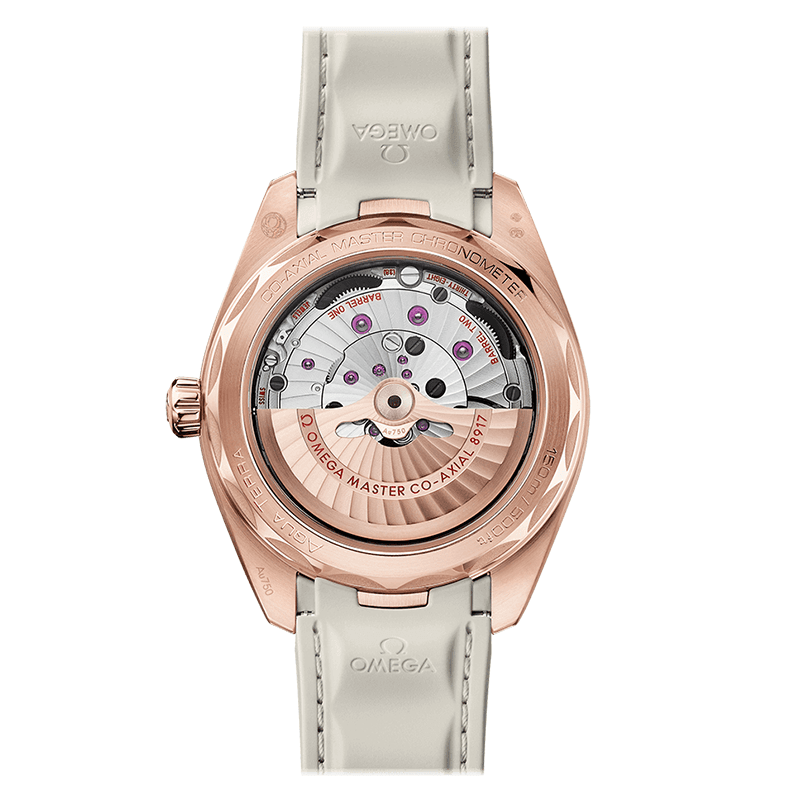OMEGA Seamaster Aqua Terra 150M Co-Axial Master Chronometer Small Seconds 41 MM 220.52.41.21.02.001