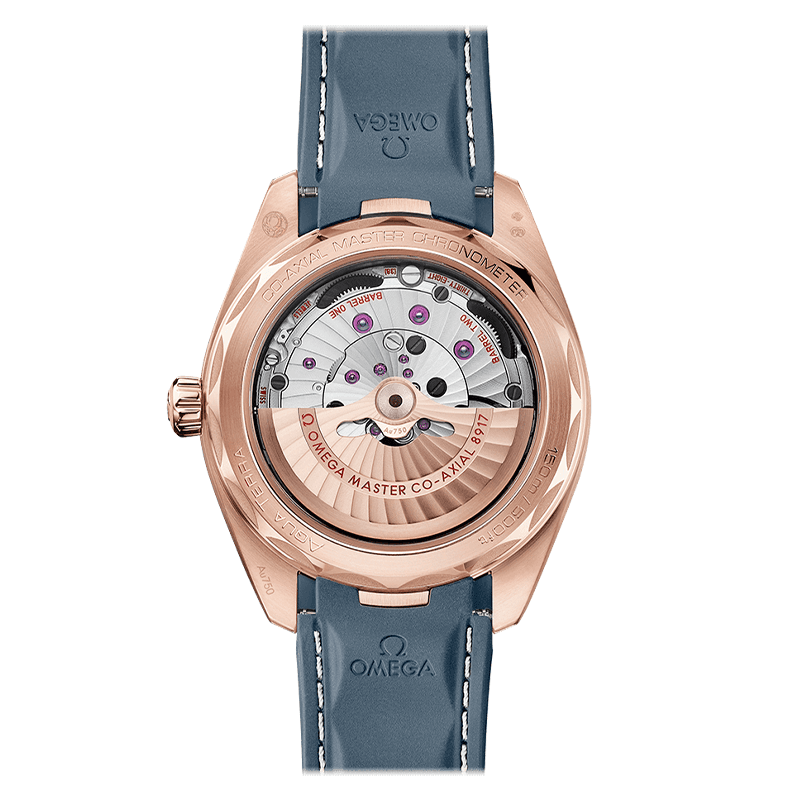 OMEGA Seamaster Aqua Terra 150M Co-Axial Master Chronometer Small Seconds 41 MM 220.52.41.21.03.002