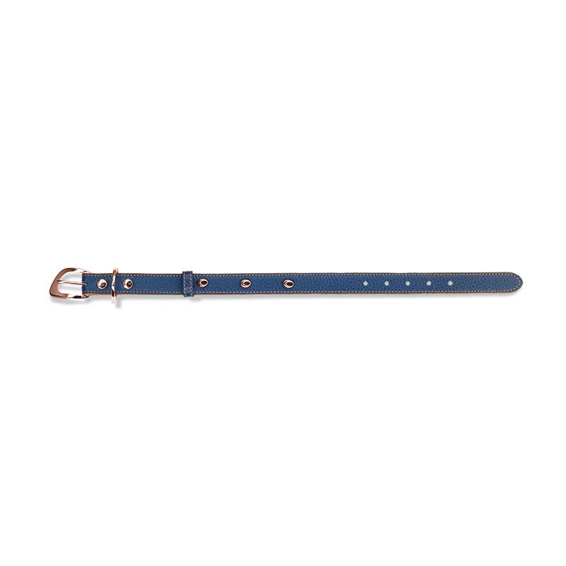 ASTRUA Creazioni Collare In Pelle Grana Dollaro Blu Electric  CO2PGD86