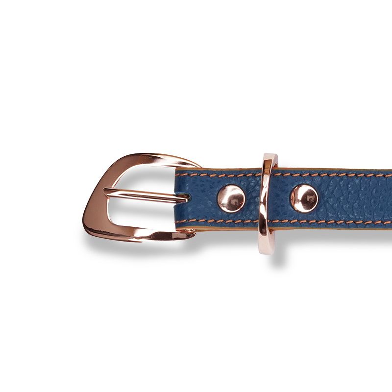 ASTRUA Creazioni Collare In Pelle Grana Dollaro Blu Electric  CO2PGD86