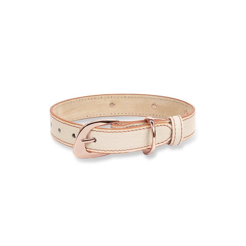 ASTRUA Creations Collare In Pelle Grana Dollaro Lamb  CO2PGD56