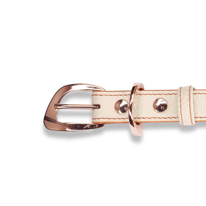 ASTRUA Creations Collare In Pelle Grana Dollaro Lamb  CO2PGD56