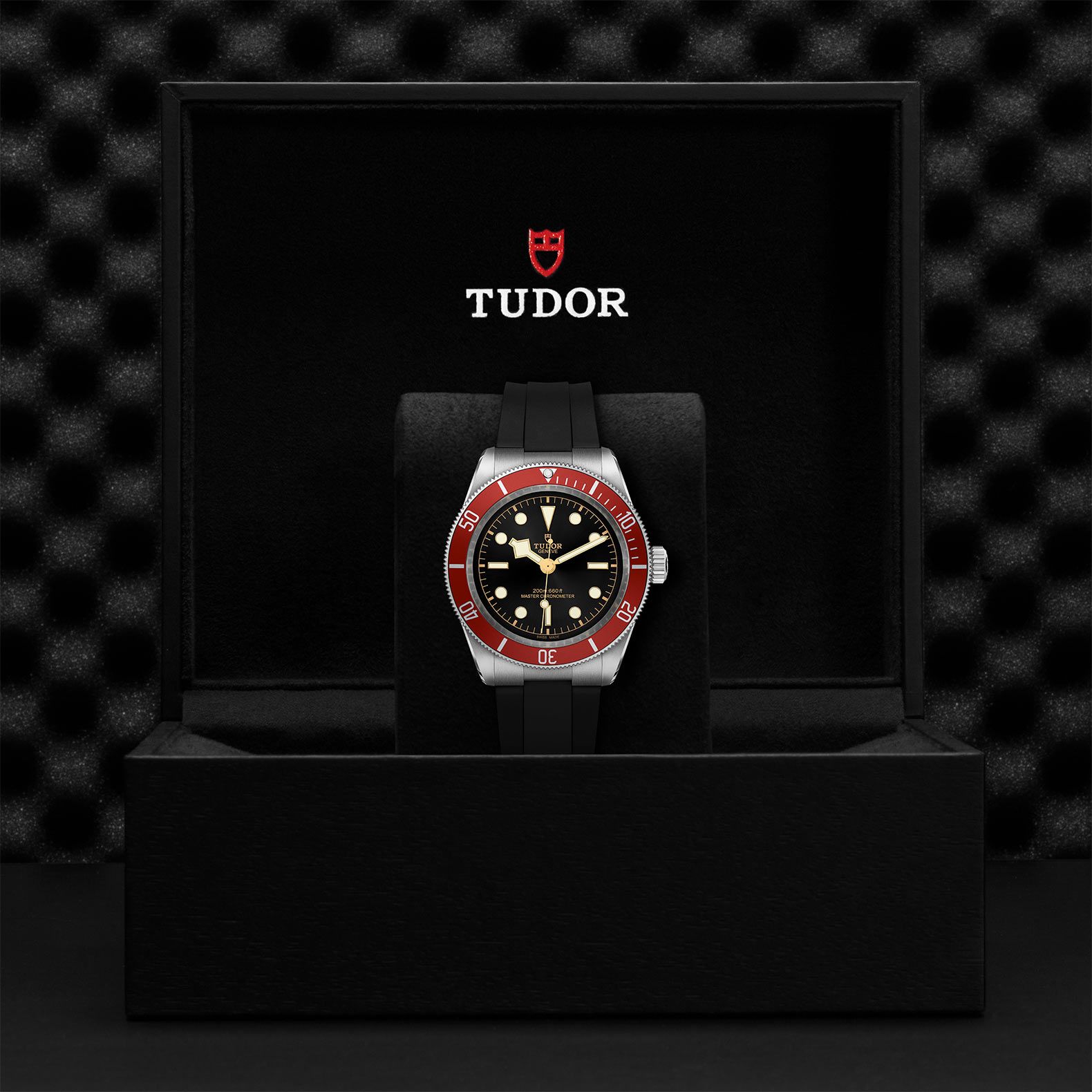 TUDOR Black Bay 41 MM M7941A1A0RU-0002