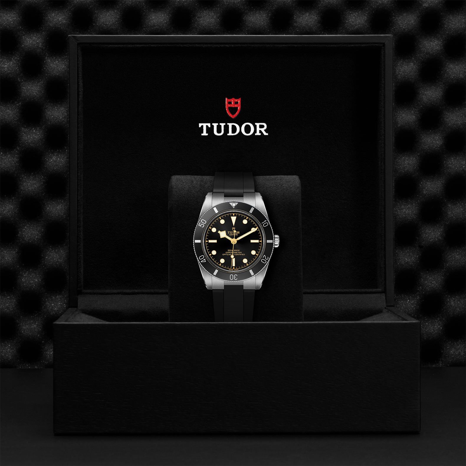 TUDOR Black Bay 54 37 MM M79000N-0002