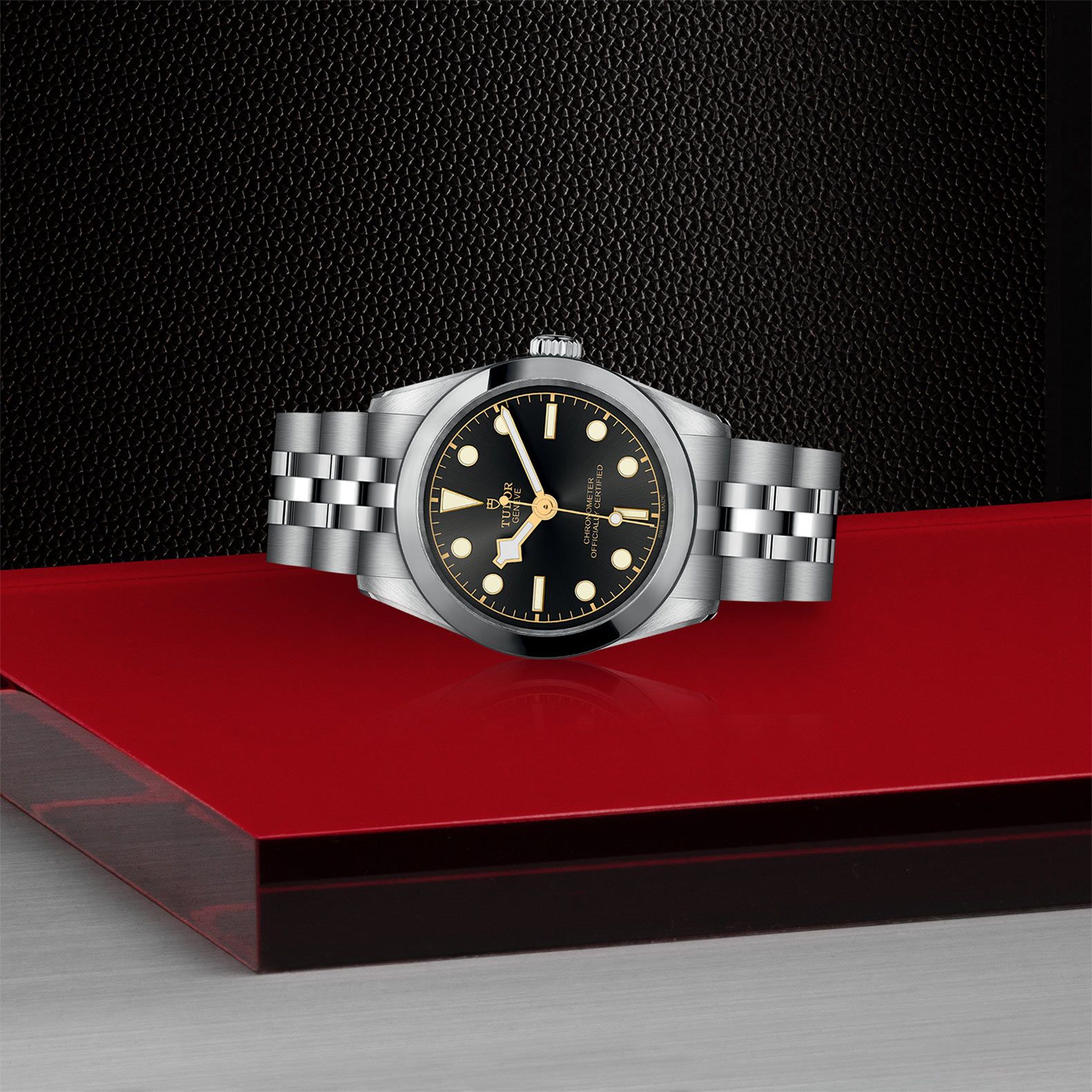TUDOR Black Bay 31 31 MM M79600-0001