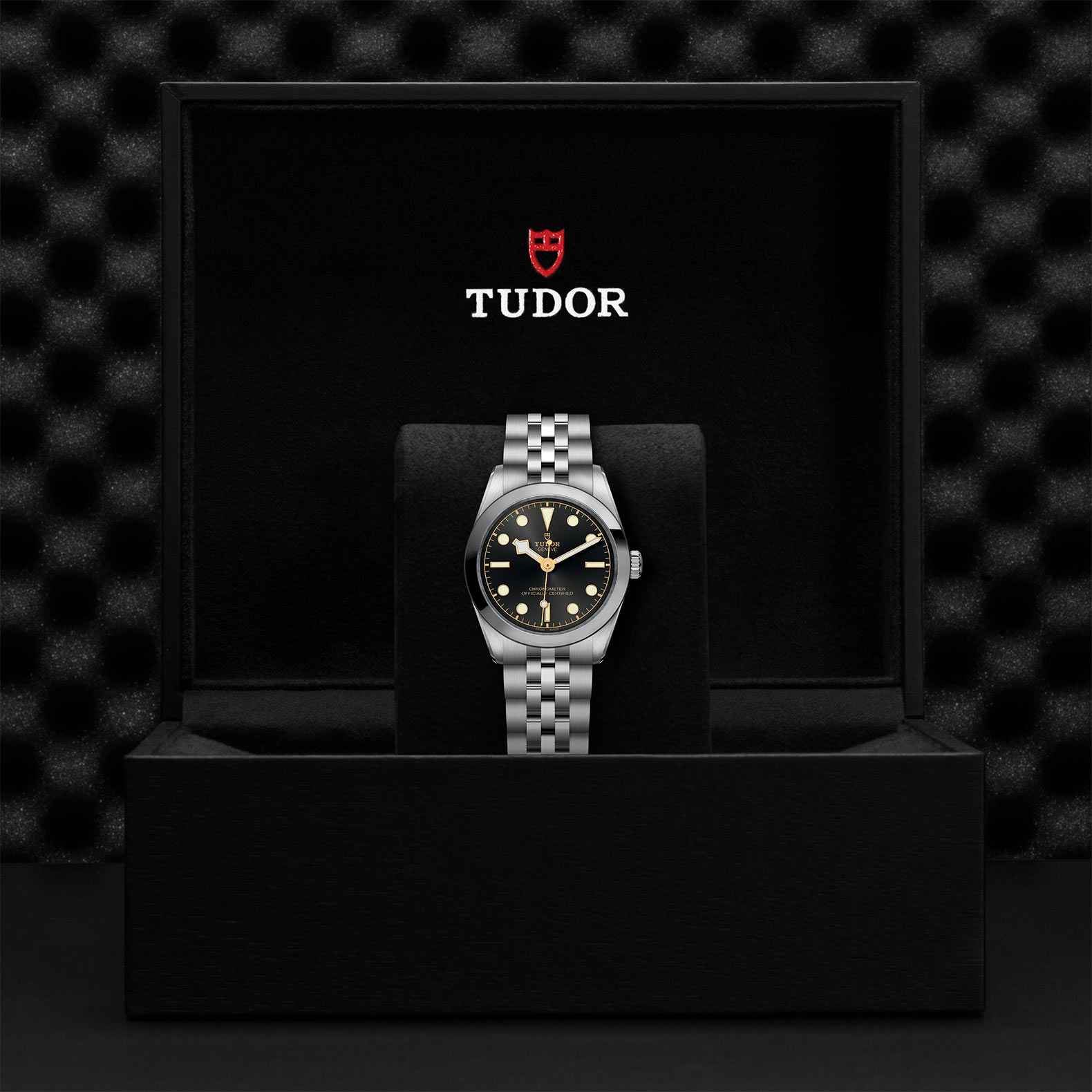 TUDOR Black Bay 31 31 MM M79600-0001