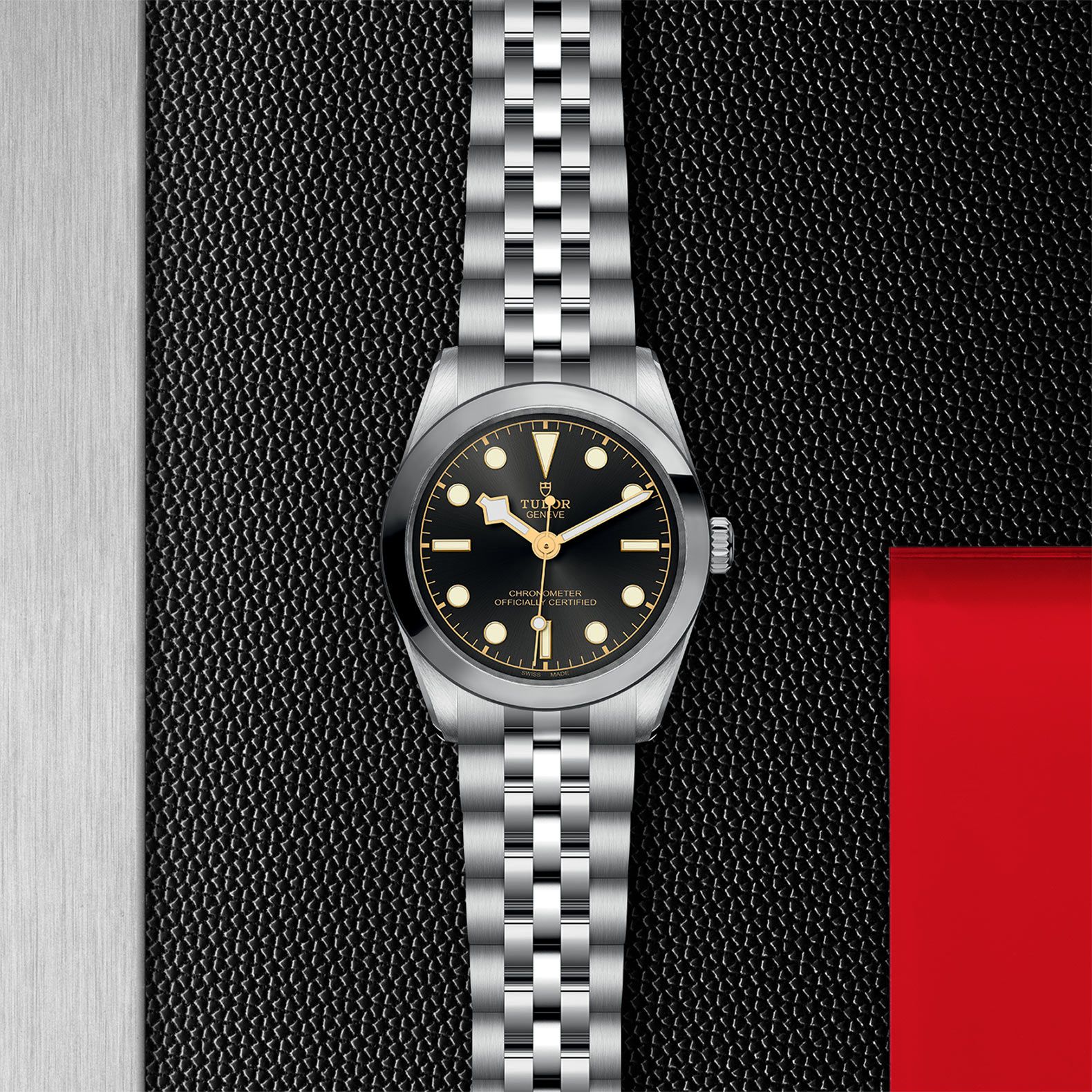 TUDOR Black Bay 31 31 MM M79600-0001
