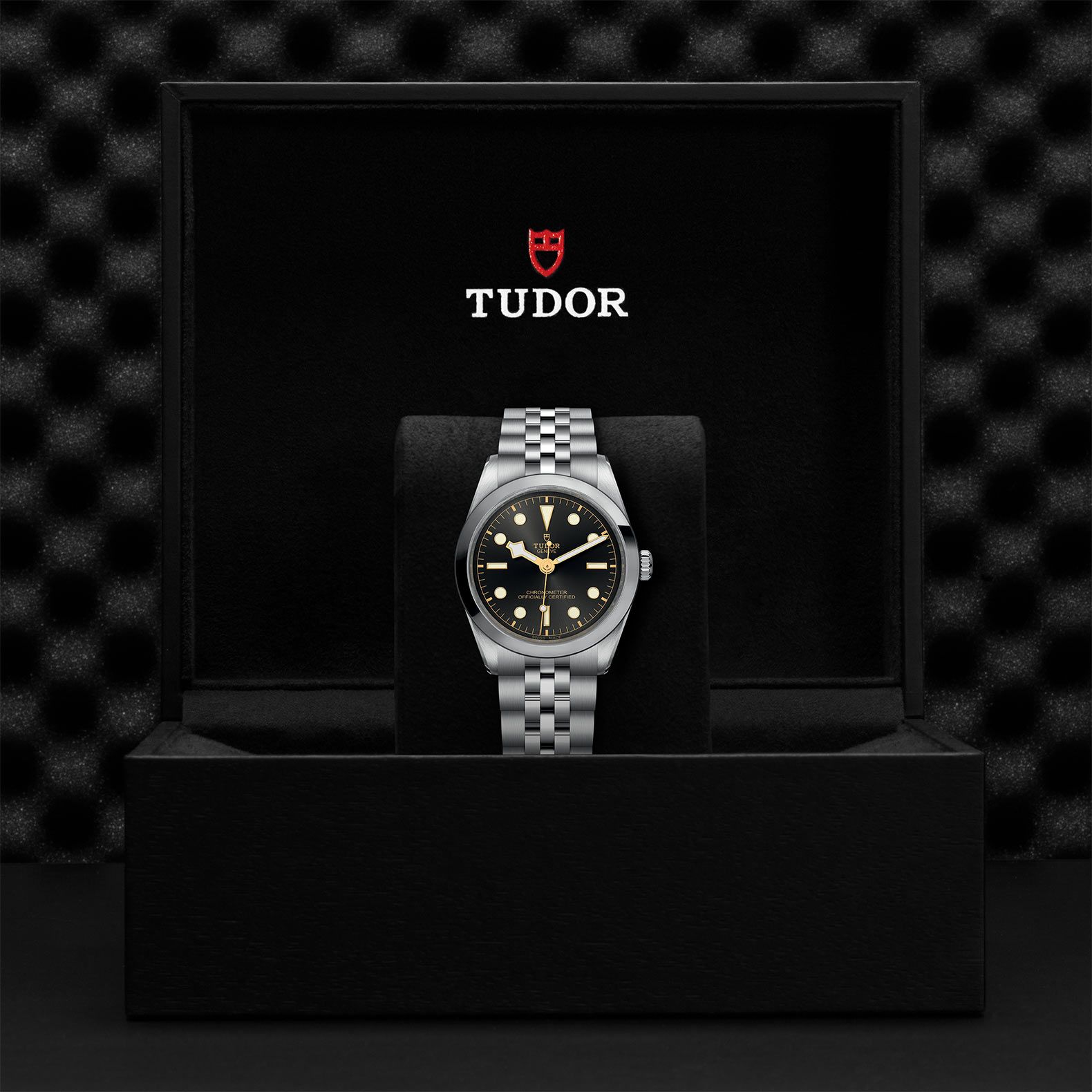 TUDOR Black Bay 36 36 MM M79640-0001