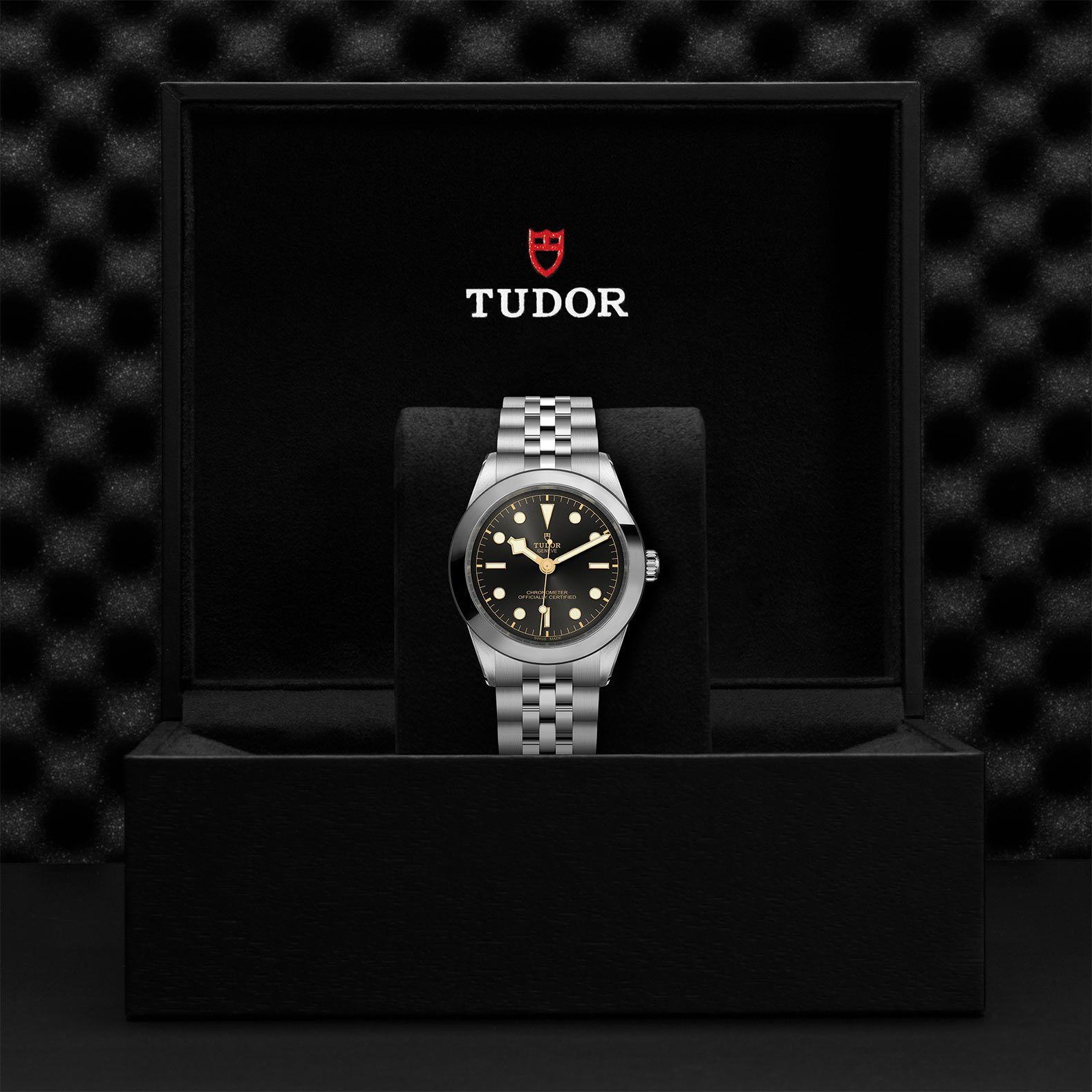 TUDOR Black Bay 39 39 MM M79660-0001