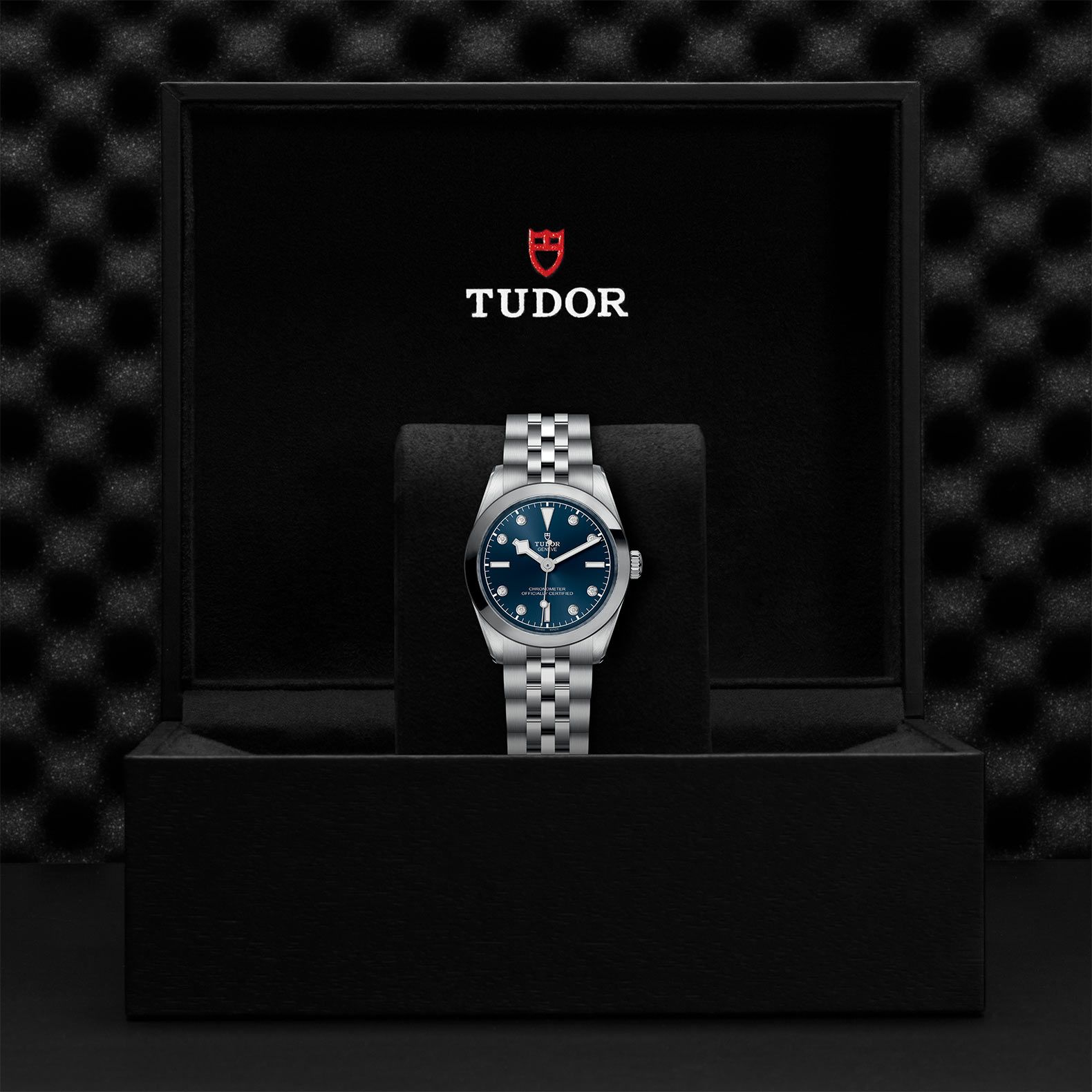 TUDOR Black Bay 31 31 MM M79600-0005