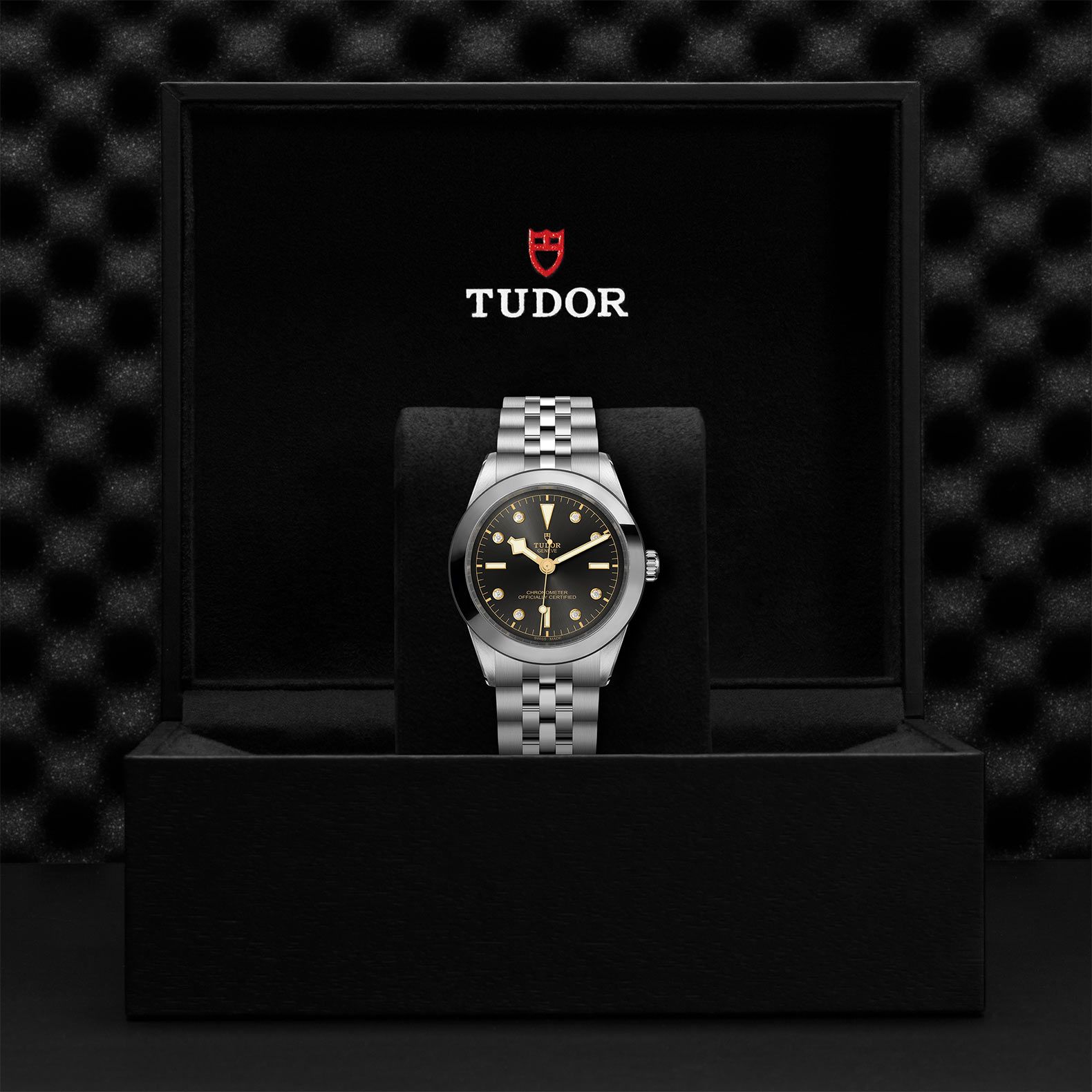 TUDOR Black Bay 39 39 MM M79660-0004