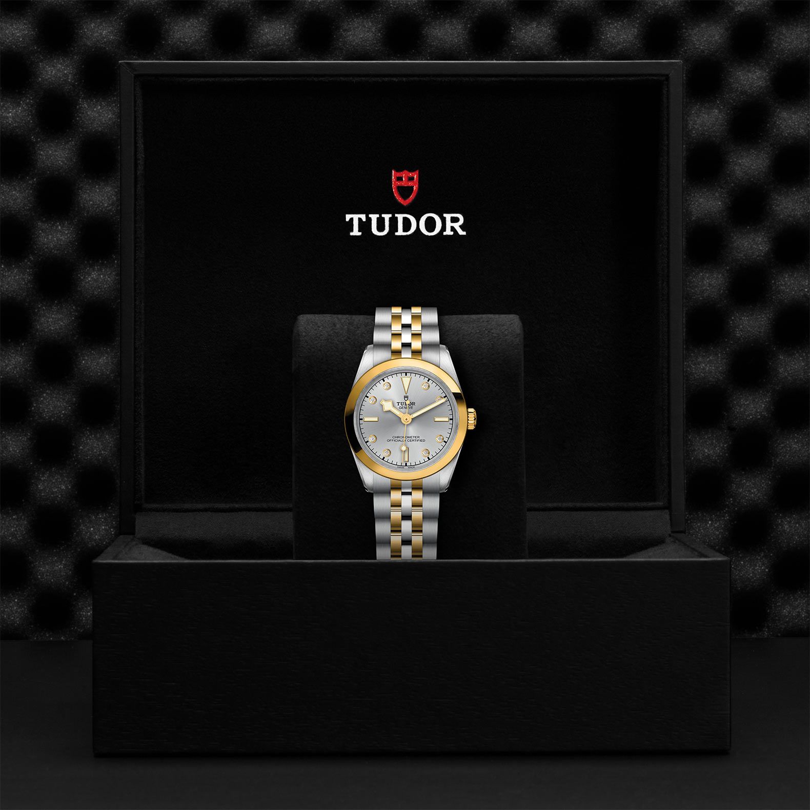 TUDOR Black Bay 31 S&G 31 MM M79603-0007