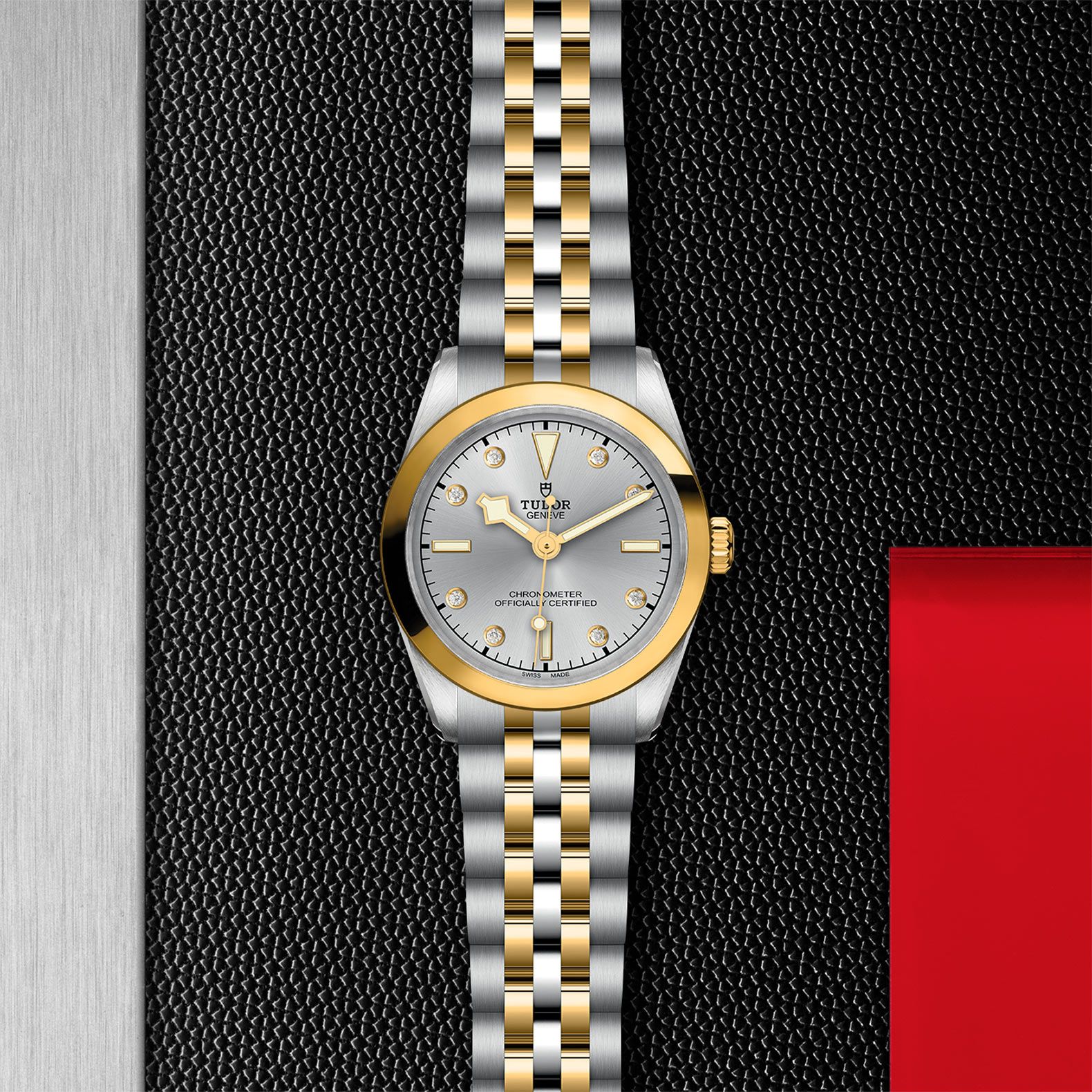 TUDOR Black Bay 31 S&G 31 MM M79603-0007