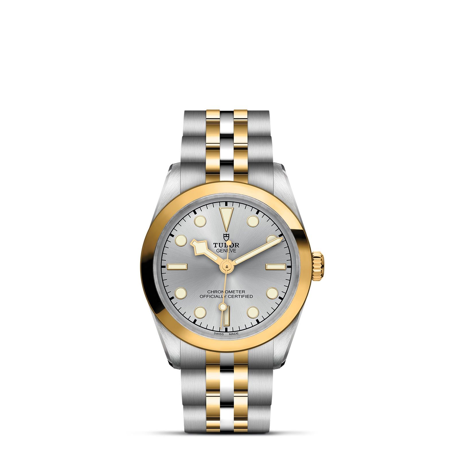 TUDOR Black Bay 31 S&G 31 MM M79603-0002