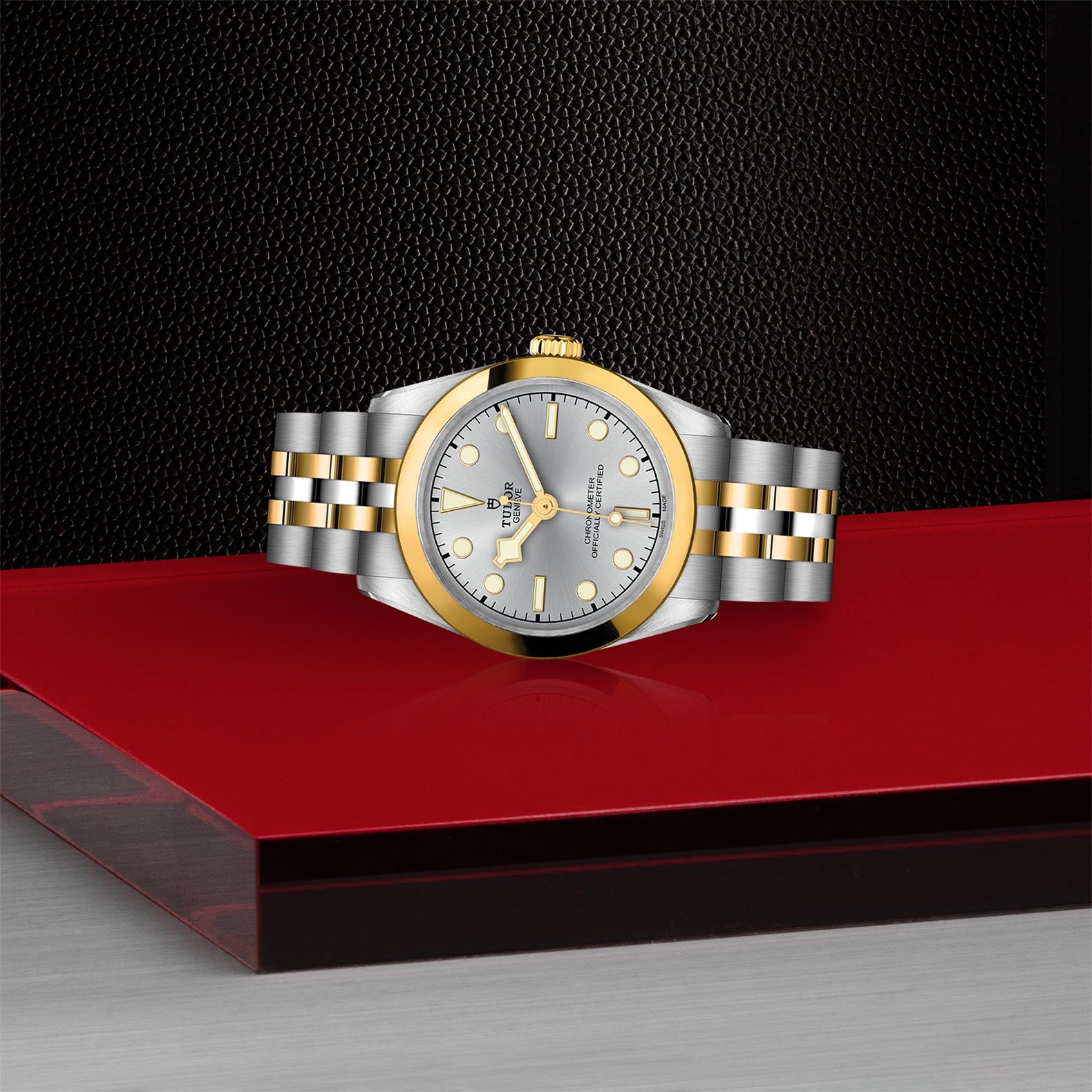 TUDOR Black Bay 31 S&G 31 MM M79603-0002