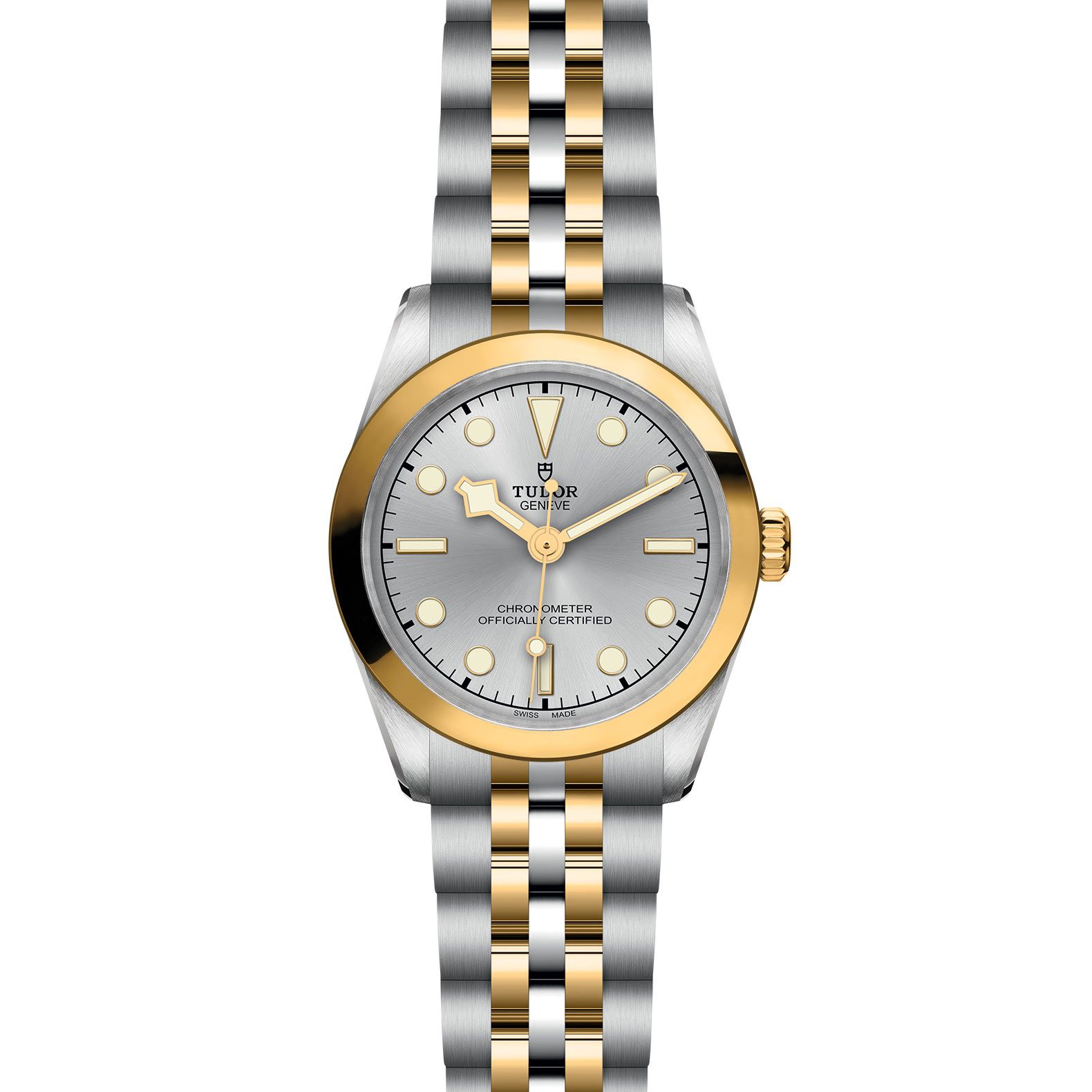TUDOR Black Bay 31 S&G 31 MM M79603-0002