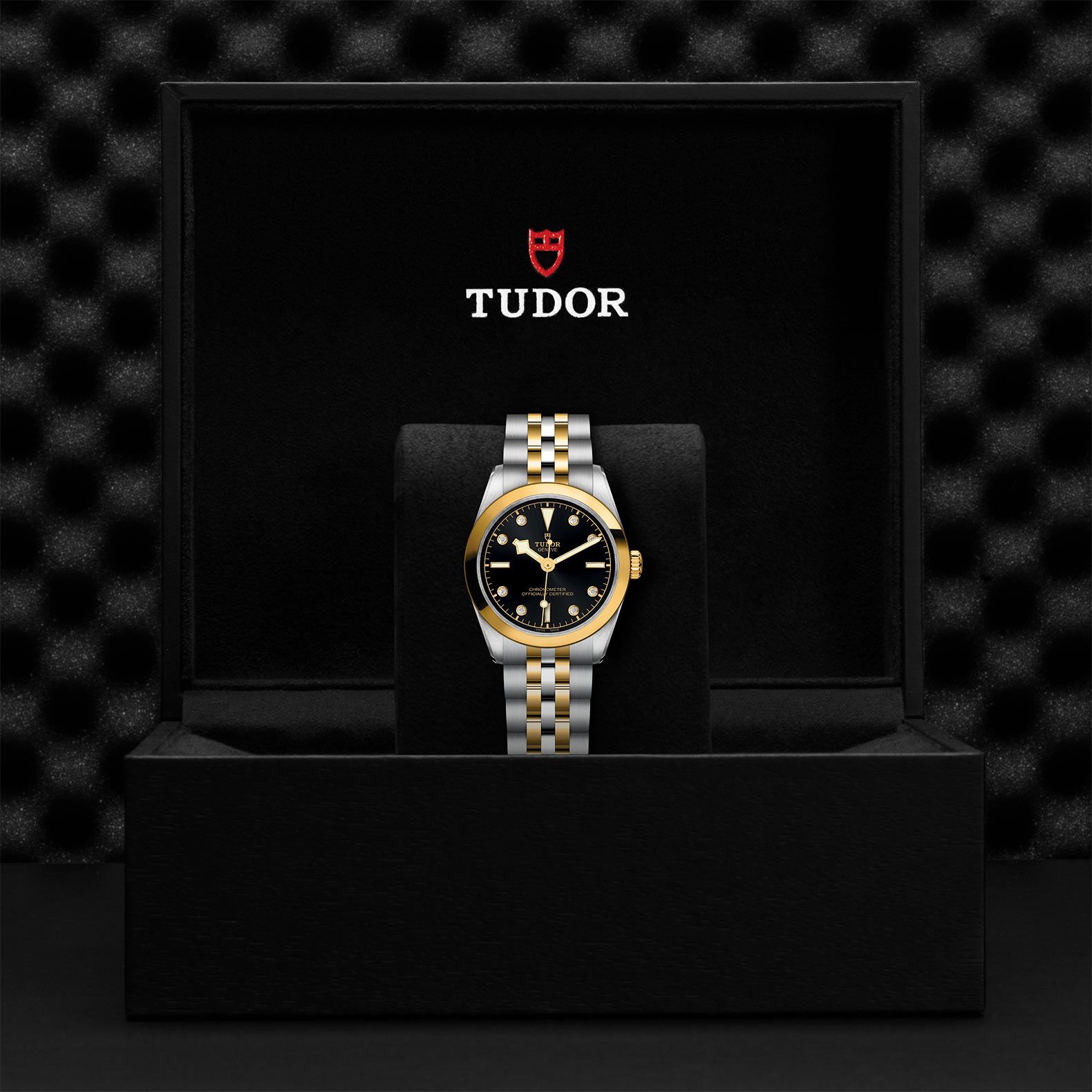 TUDOR Black Bay 31 S&G 31 MM M79603-0006