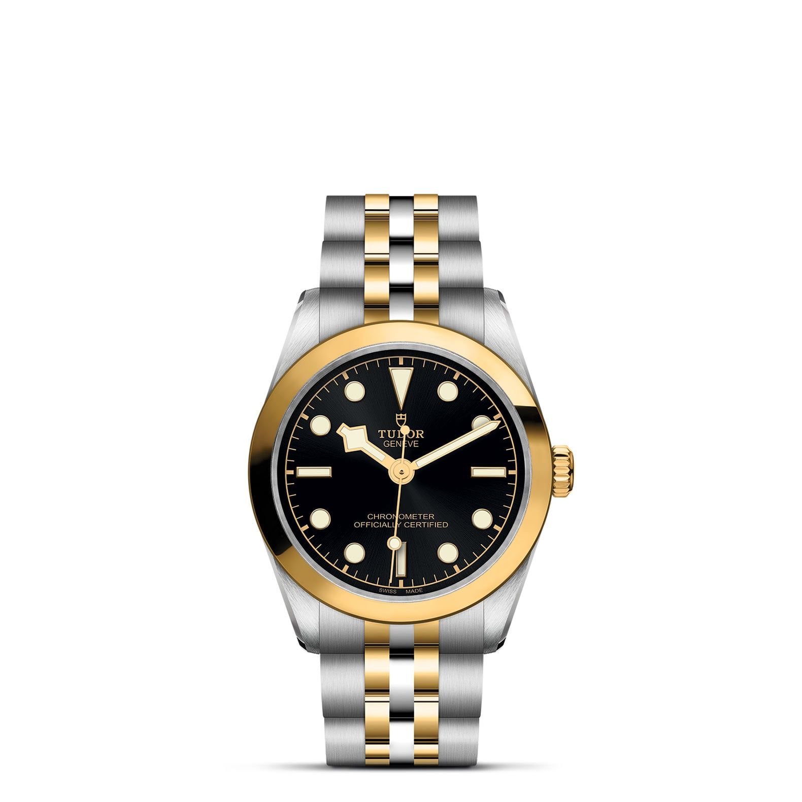 TUDOR Black Bay 31 S&G 31 MM M79603-0001