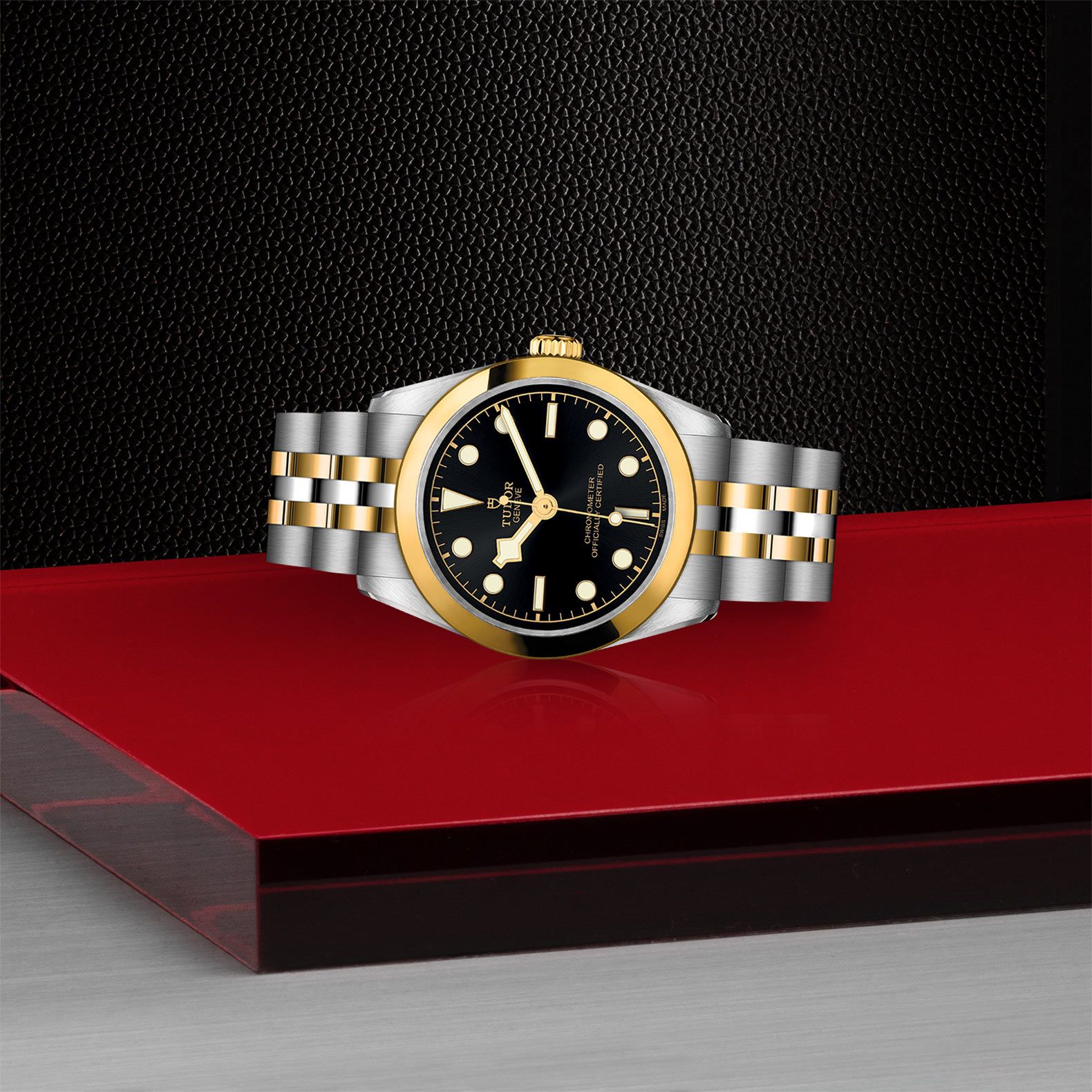 TUDOR Black Bay 31 S&G 31 MM M79603-0001