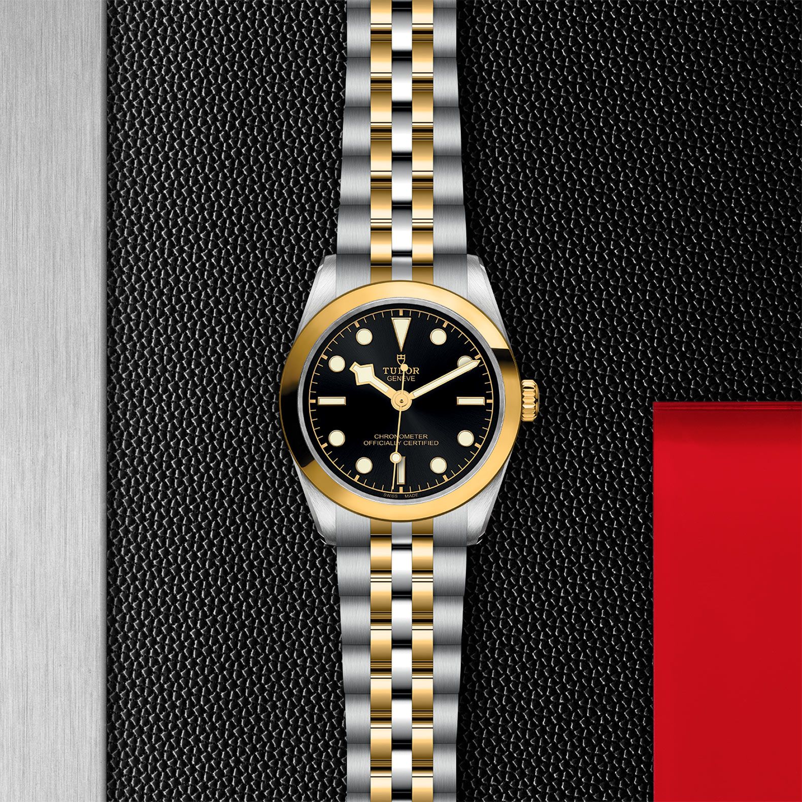 TUDOR Black Bay 31 S&G 31 MM M79603-0001