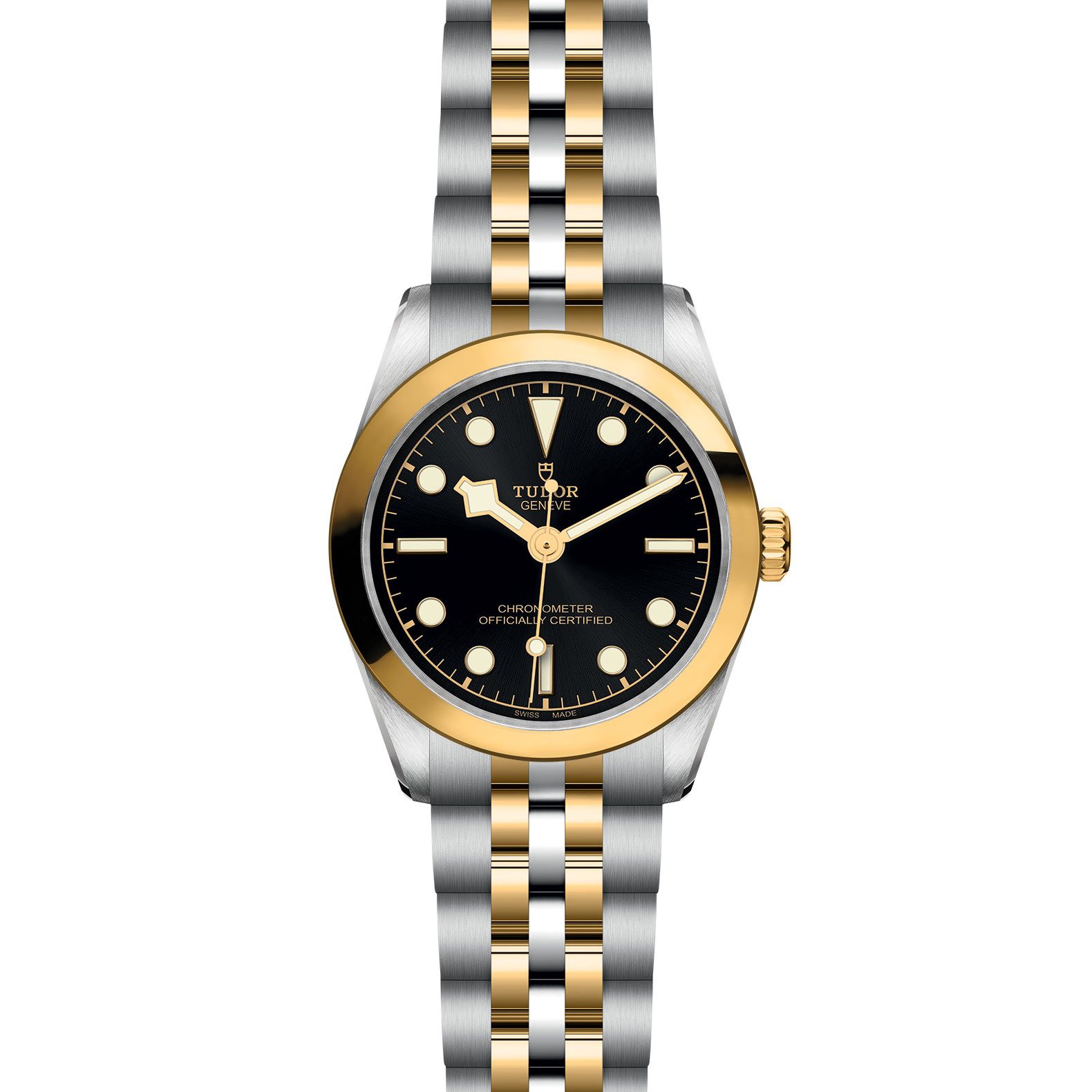 TUDOR Black Bay 31 S&G 31 MM M79603-0001
