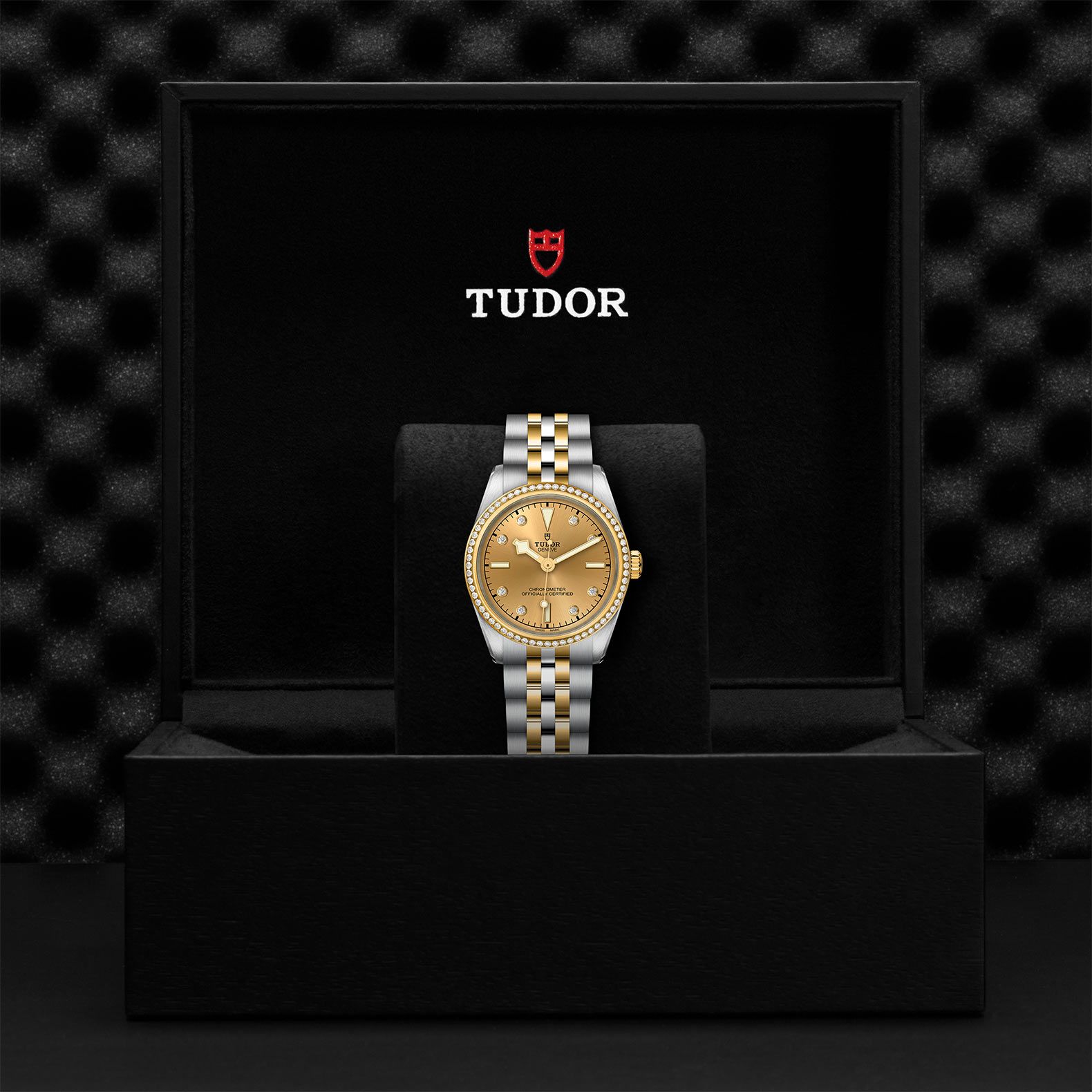 TUDOR Black Bay 31 S&G 31 MM M79613-0007