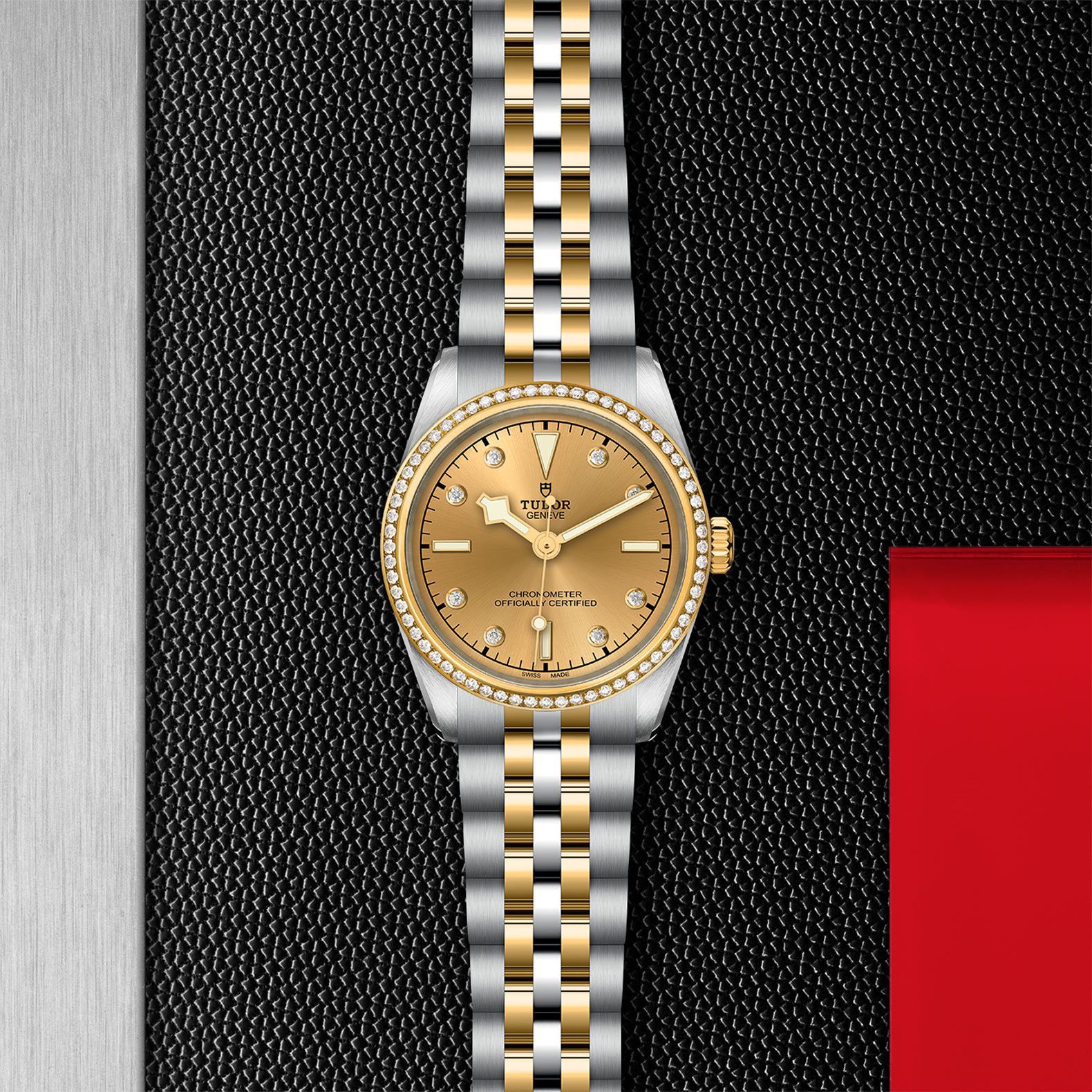 TUDOR Black Bay 31 S&G 31 MM M79613-0007