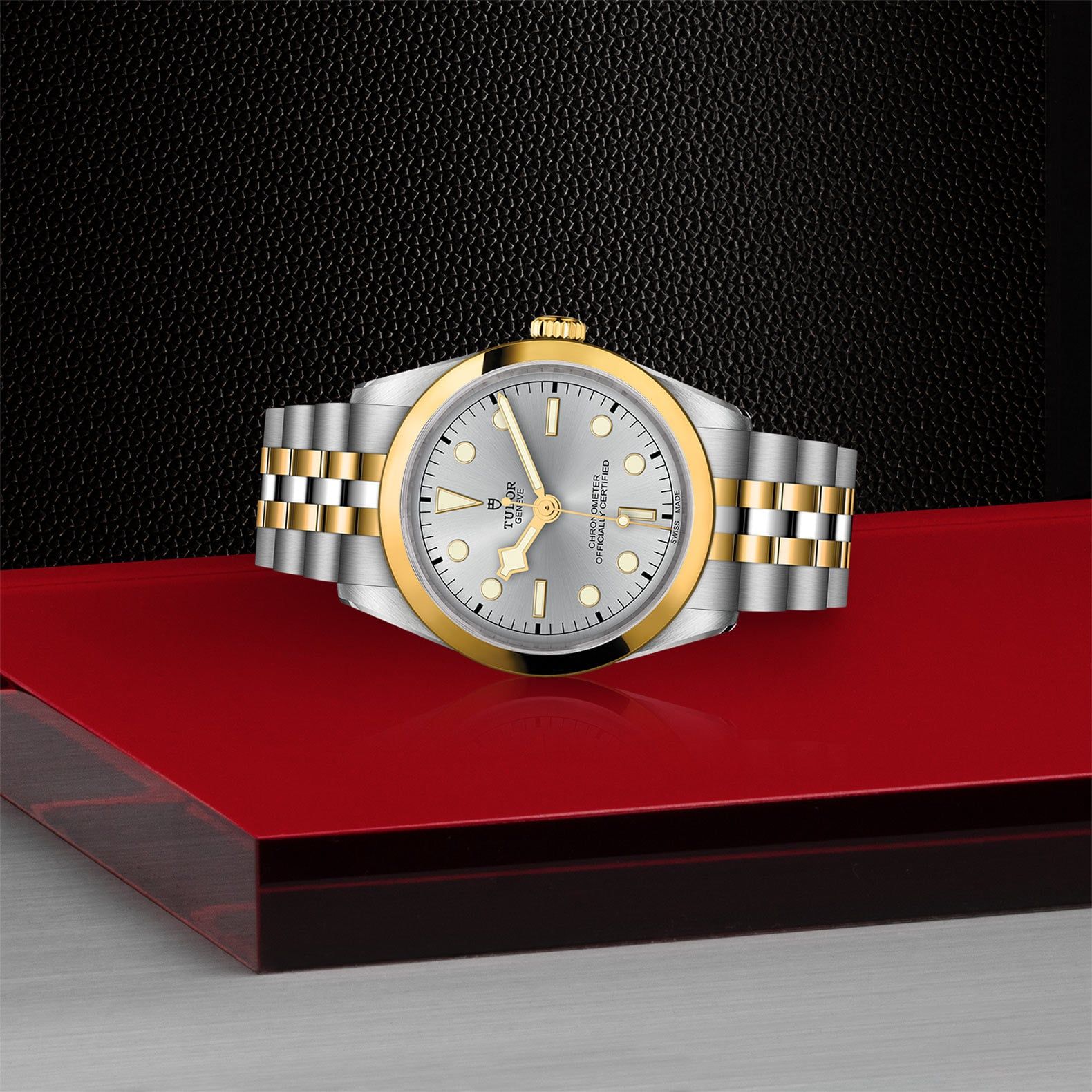 TUDOR Black Bay 36 S&G  36 MM M79643-0002