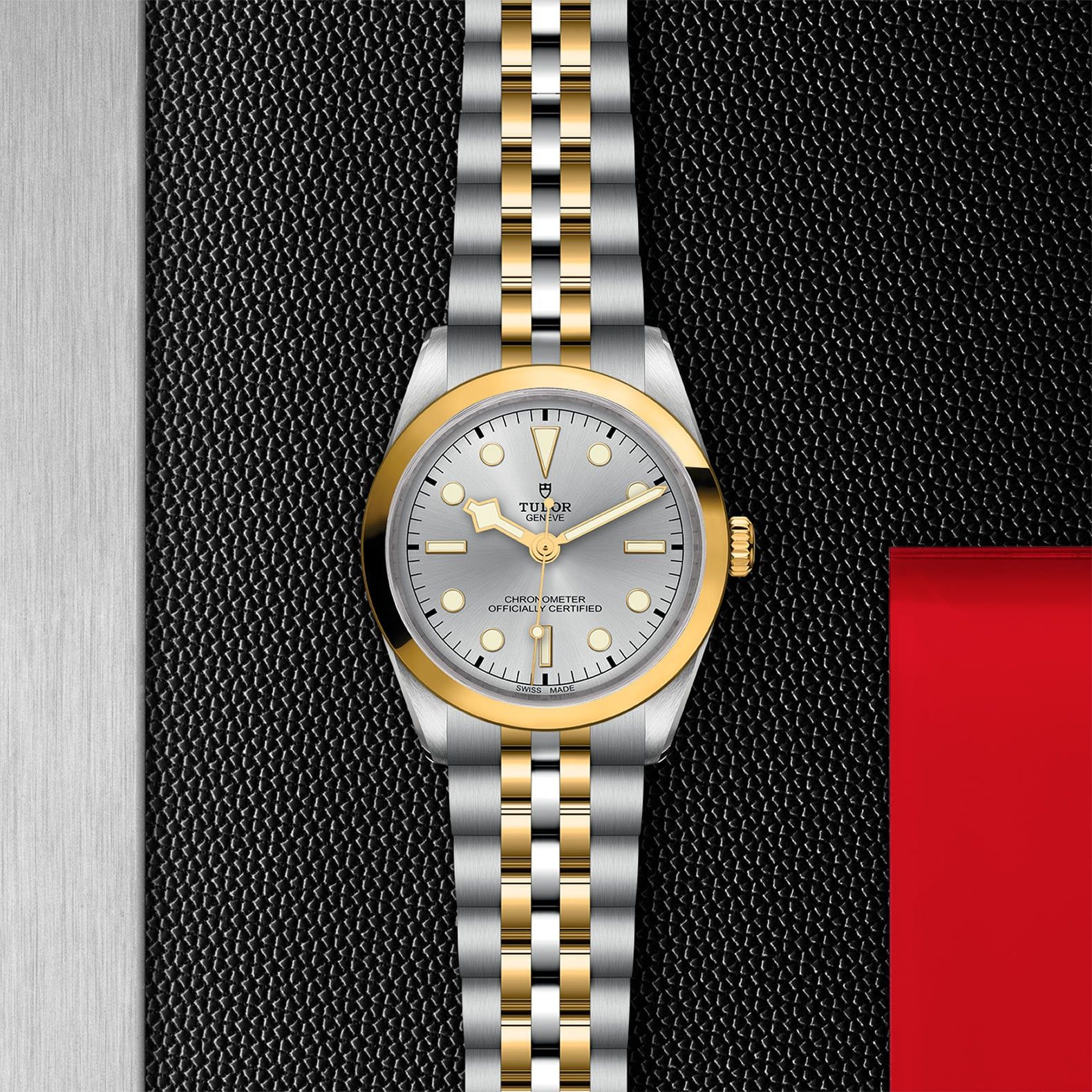 TUDOR Black Bay 36 S&G  36 MM M79643-0002