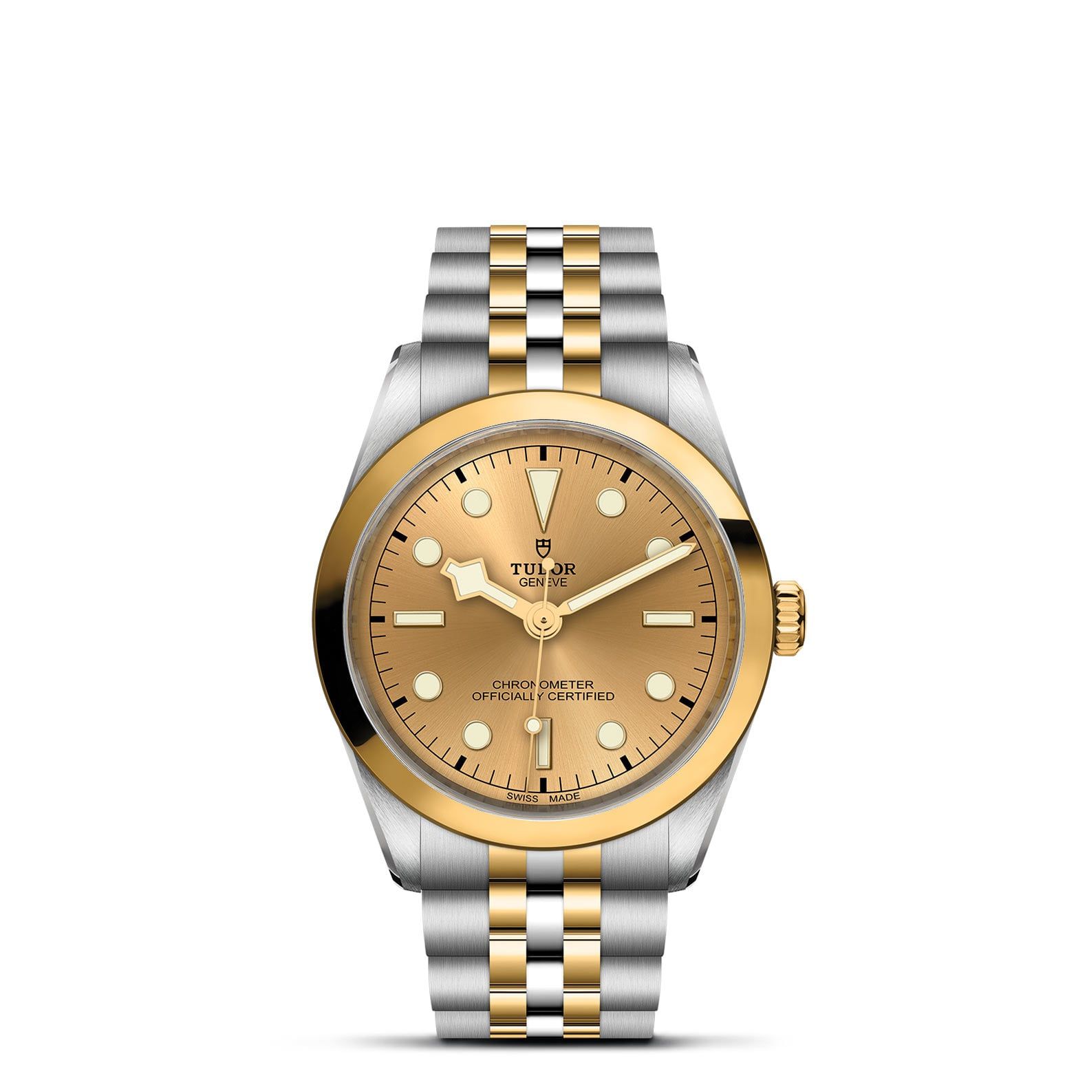 TUDOR Black Bay 36 S&G 36 MM M79643-0005