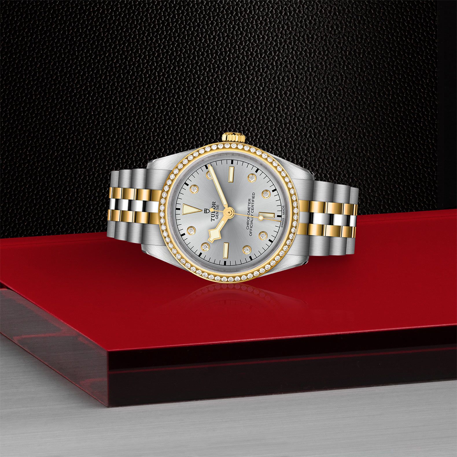 TUDOR Black Bay 36 S&G  36 MM M79653-0006