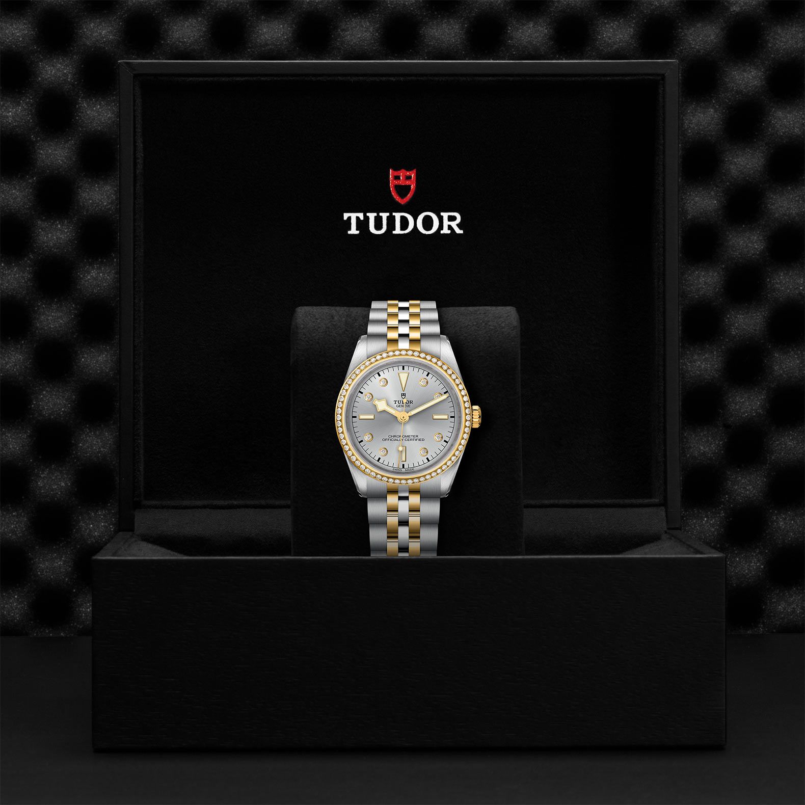 TUDOR Black Bay 36 S&G  36 MM M79653-0006