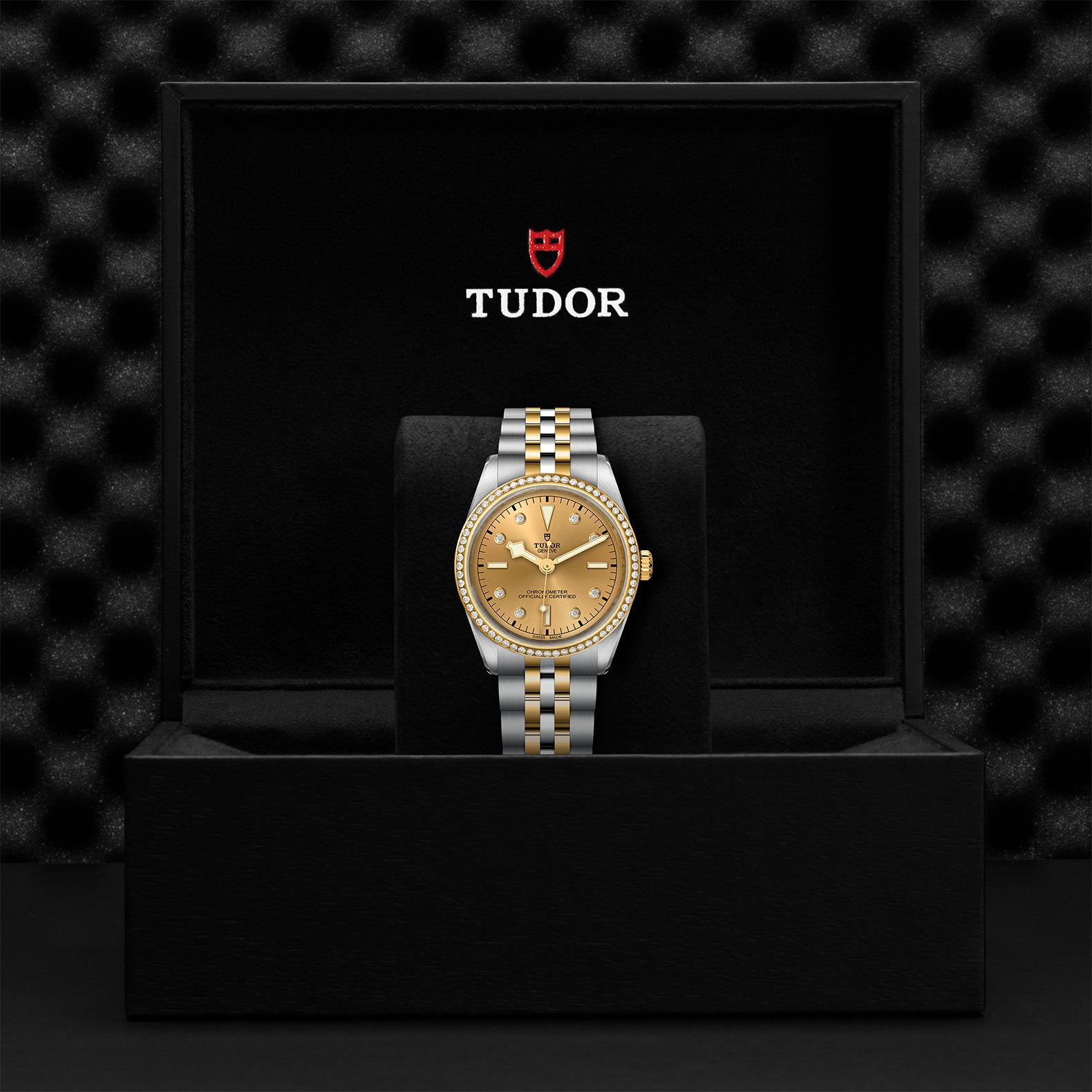 TUDOR Black Bay 36 S&G  36 MM M79653-0007