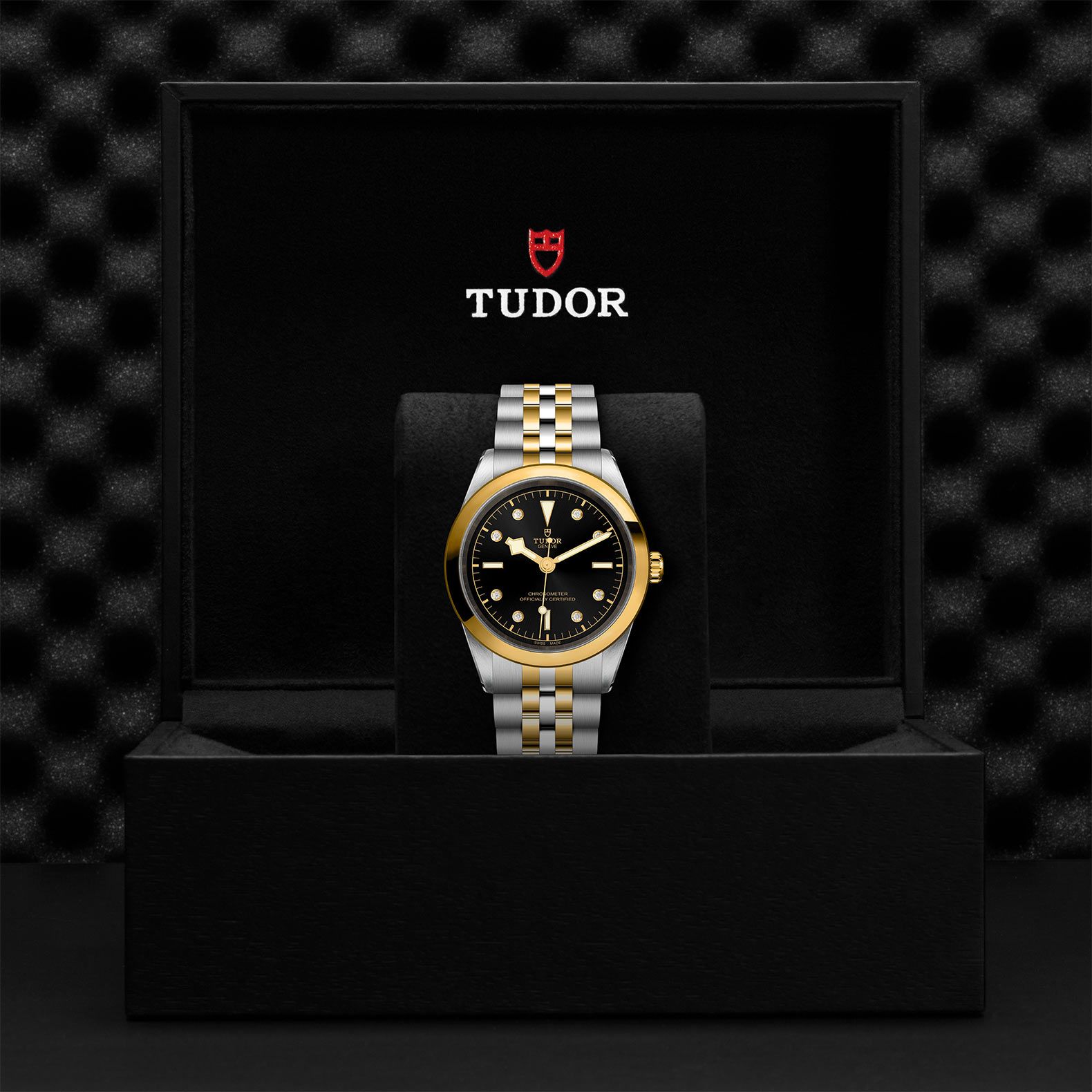 TUDOR Black Bay 41 S&G 41 MM M79683-0006