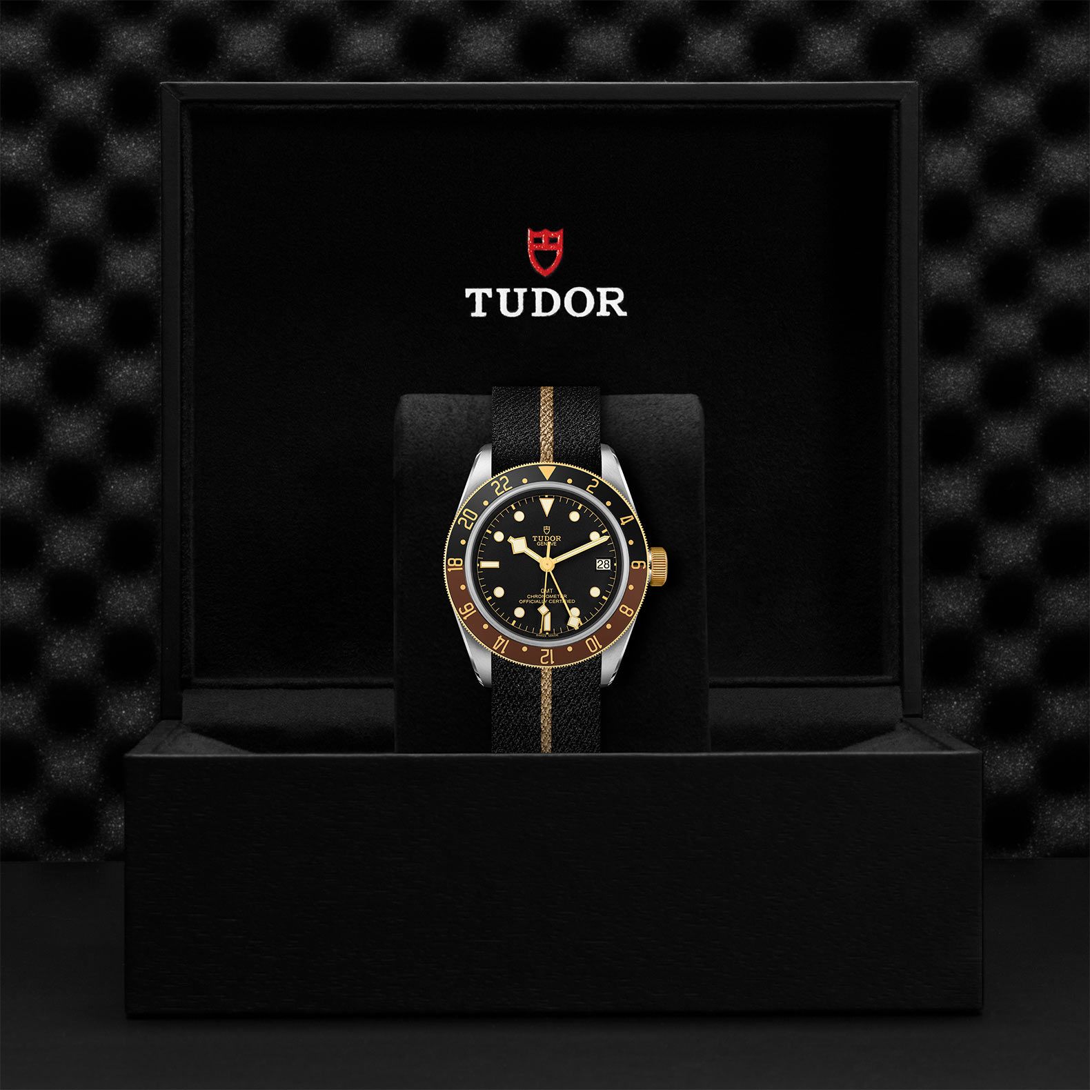 TUDOR Black Bay Gmt S&G 41 MM M79833MN-0004