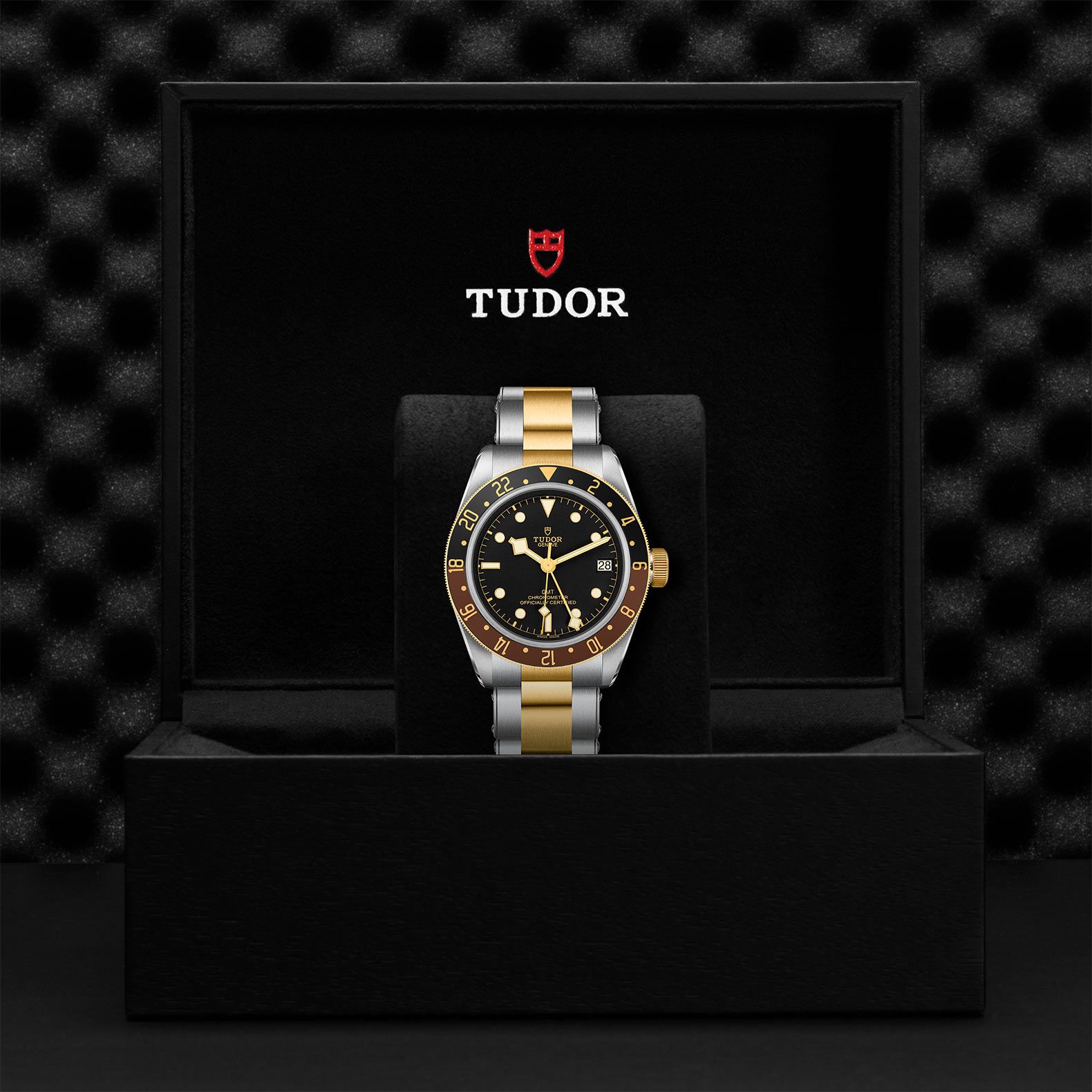 TUDOR Black Bay Gmt S&G 41 MM M79833MN-0001