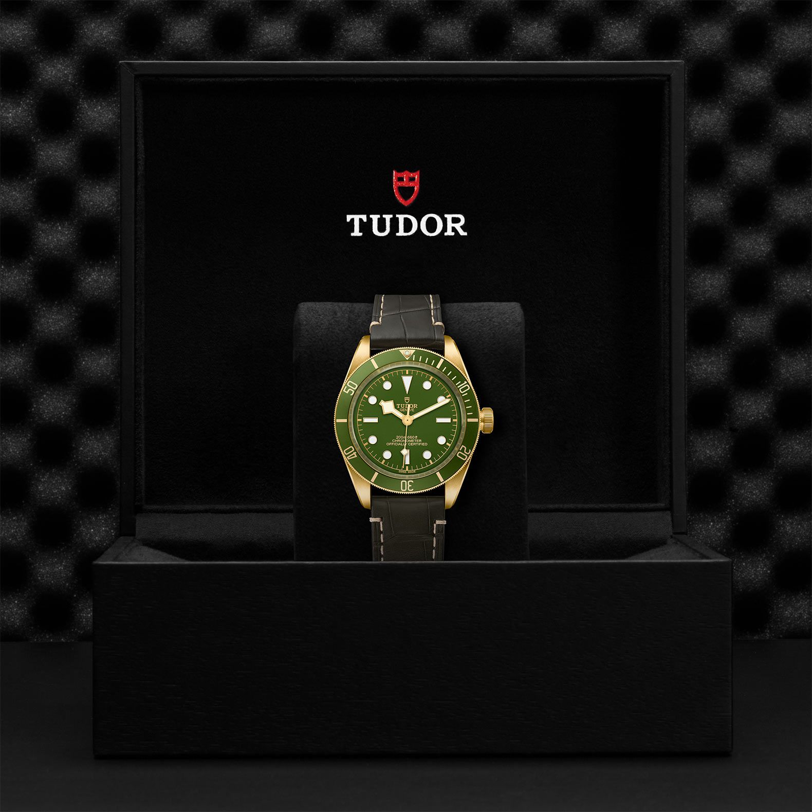 TUDOR Black Bay 58 39 MM M79018V-0001