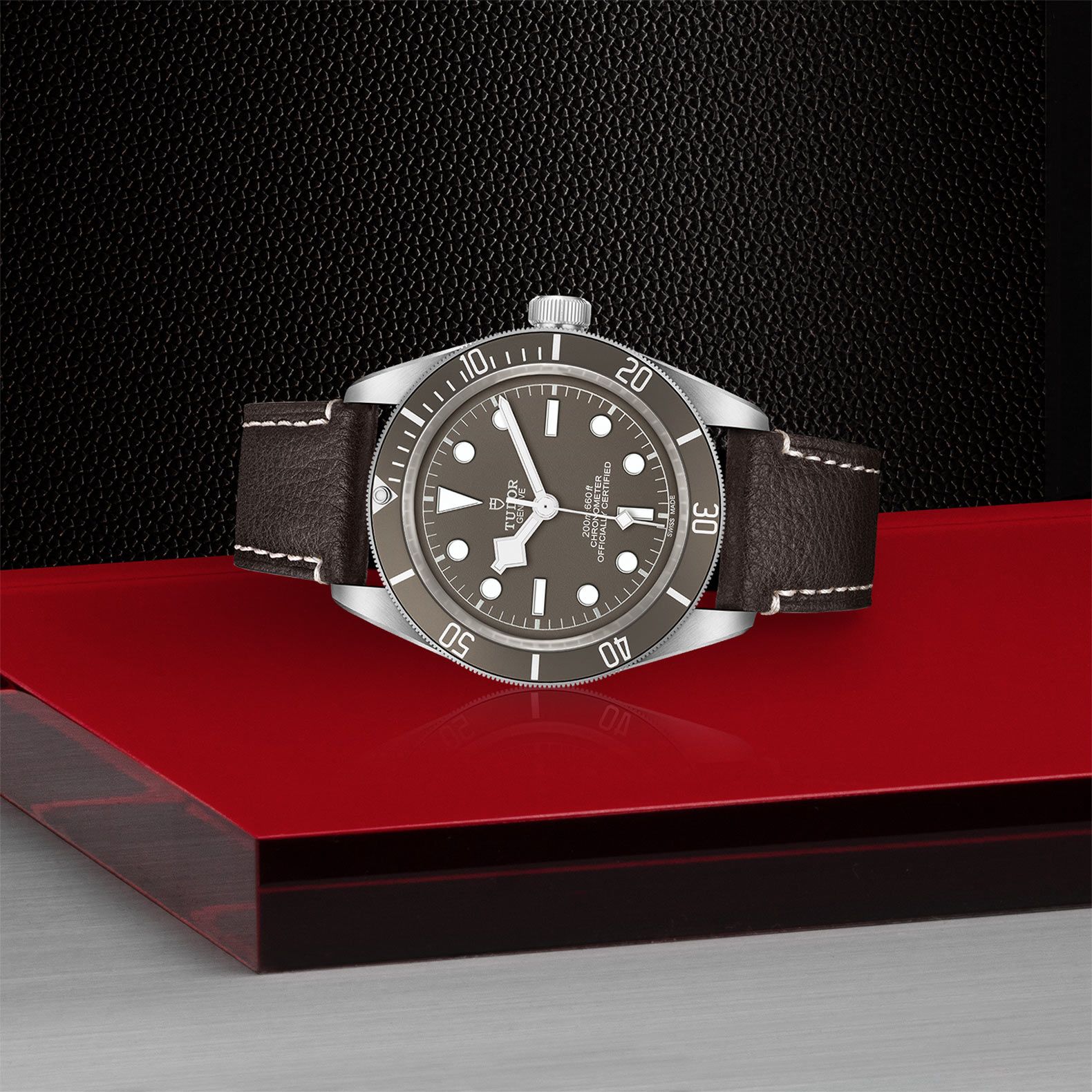 TUDOR Black Bay 58 39 MM M79010SG-0001