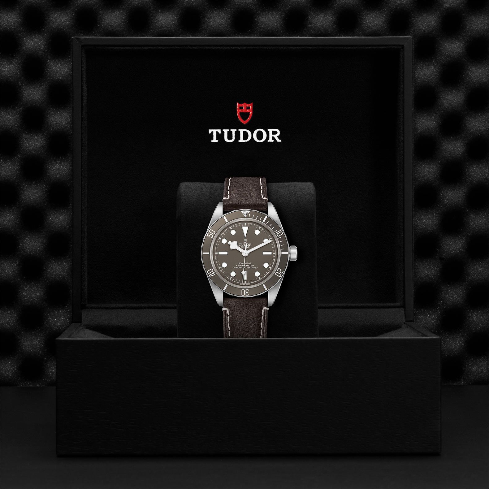 TUDOR Black Bay 58 39 MM M79010SG-0001