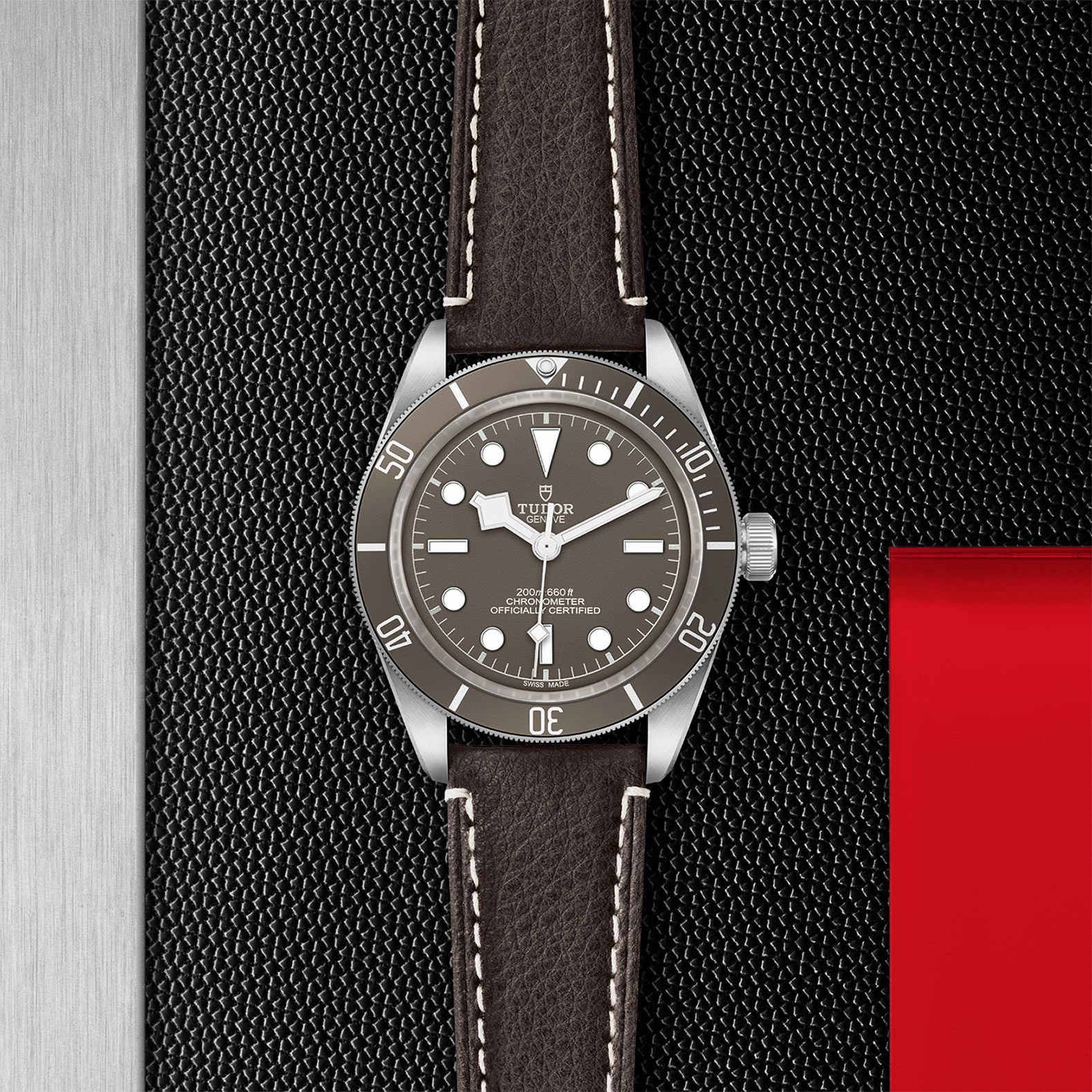 TUDOR Black Bay 58 39 MM M79010SG-0001